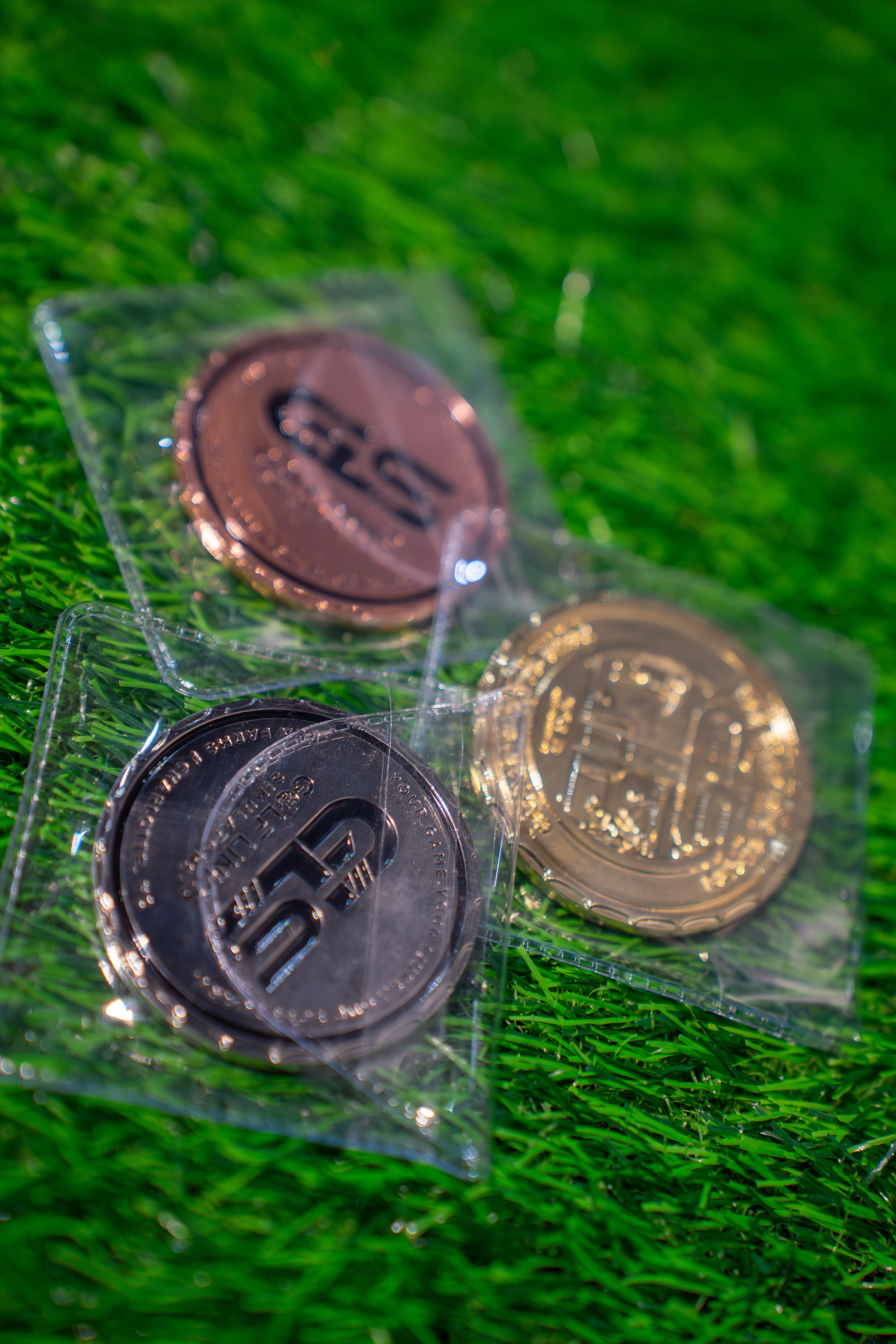 Golf Links Simulators - Image 5