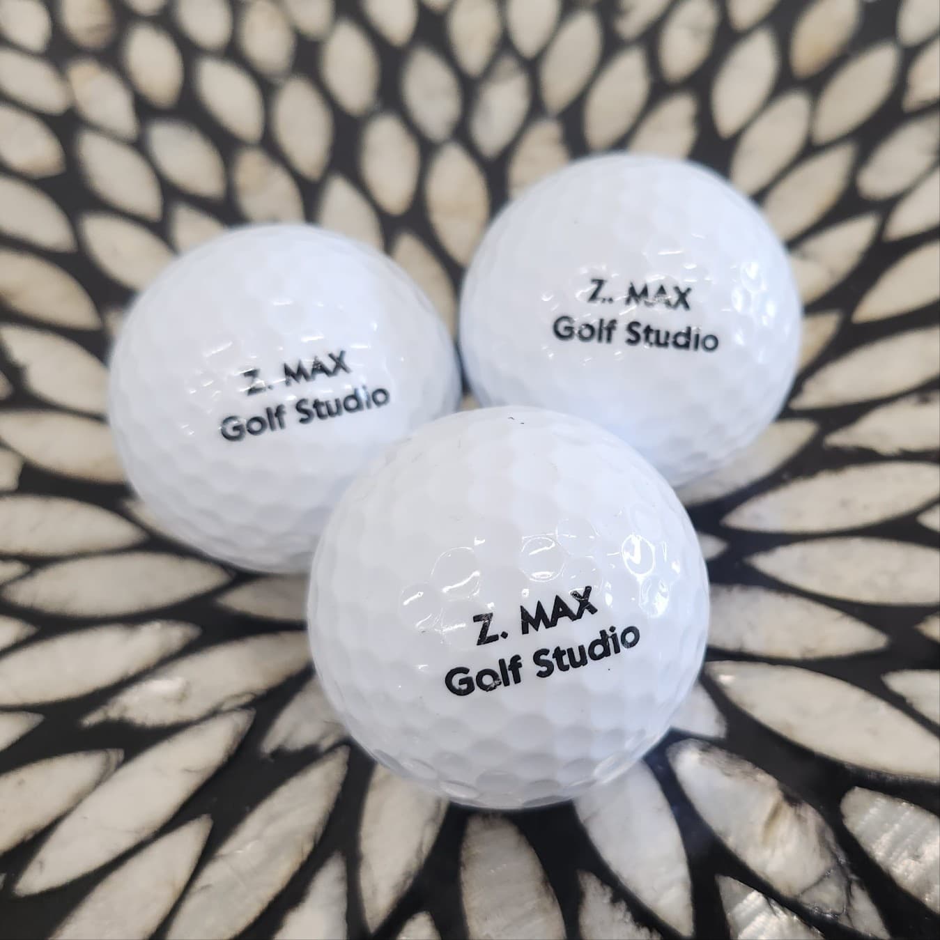 Z. Max Golf Studio - Image 1