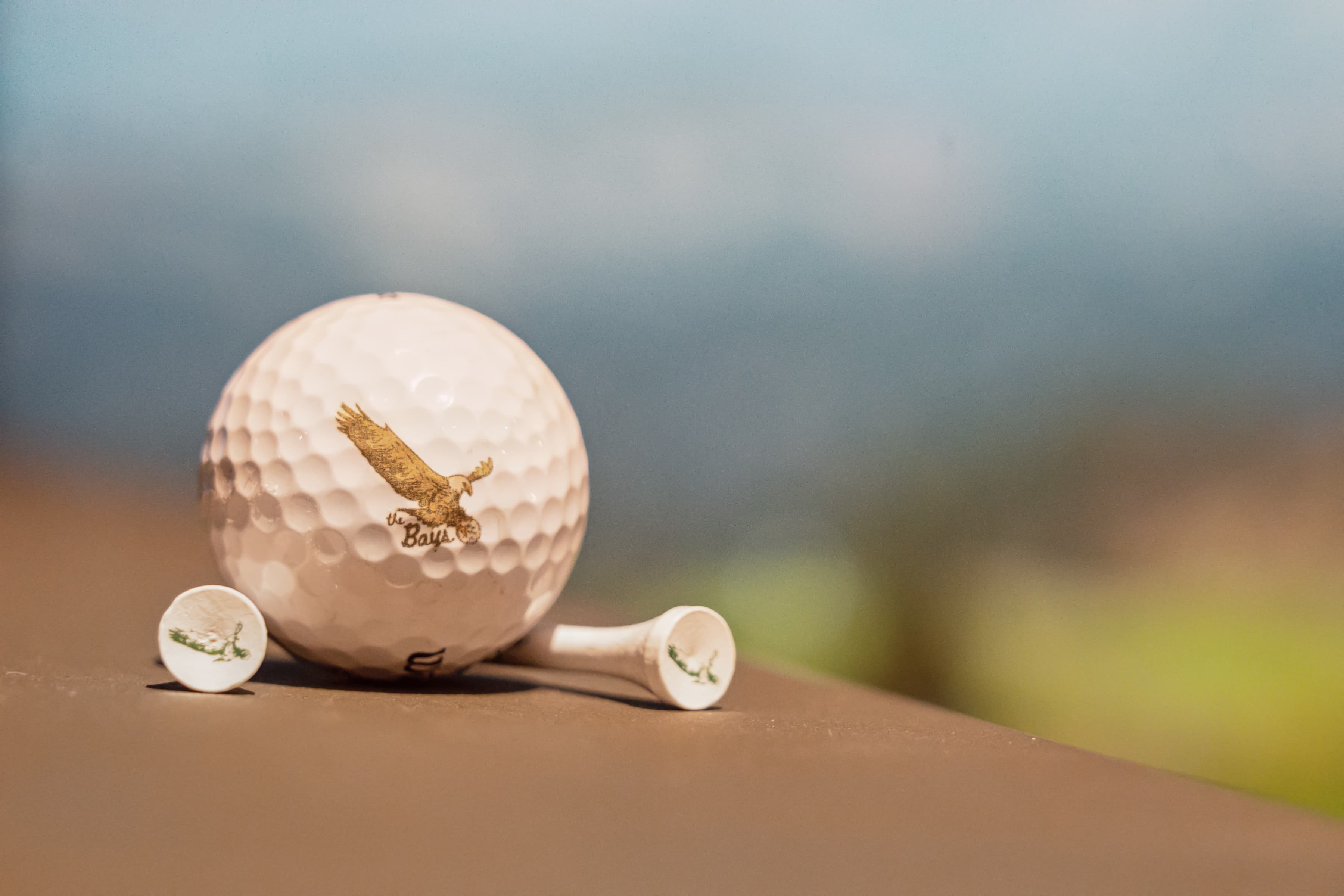 Indoor Golf Club: The Bays on Coleman Golf Simulators - Image 6