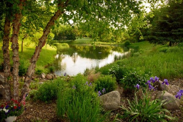 Red Wing Golf Course/Nineteen Bar+Grill/The Skyroom - Image 10