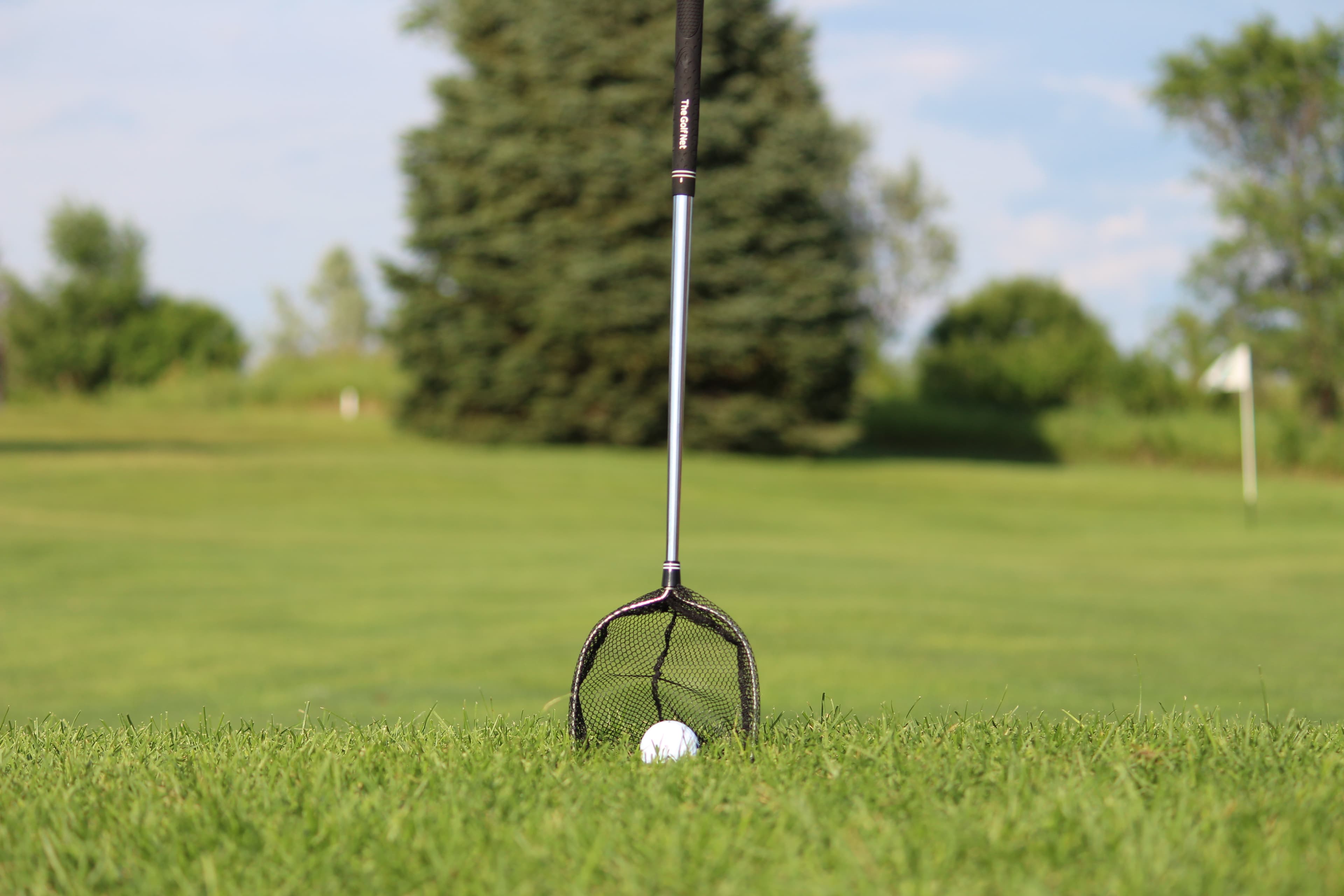 The Golf Net - Image 6