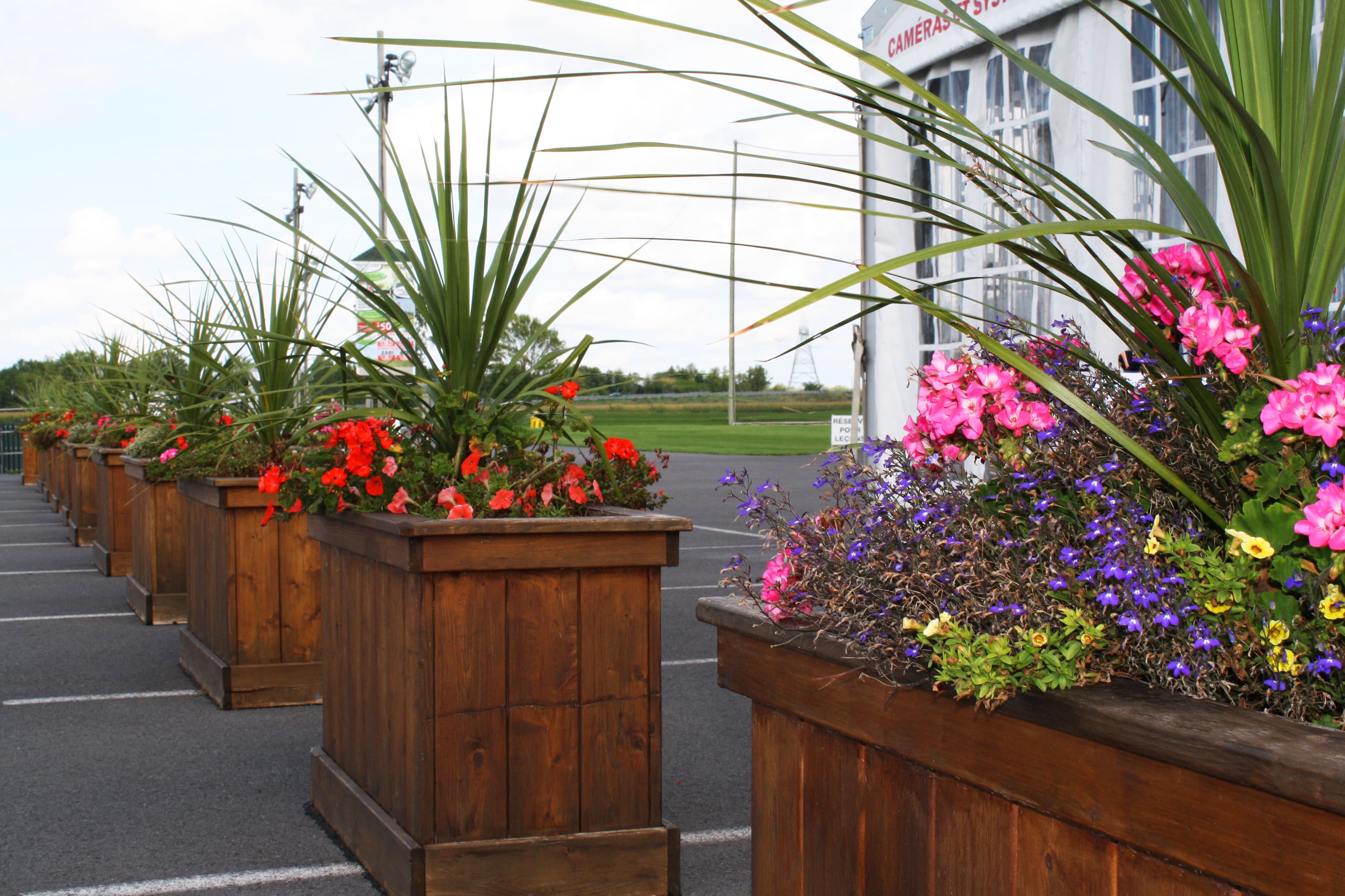 Club de Golf L'express - Image 7