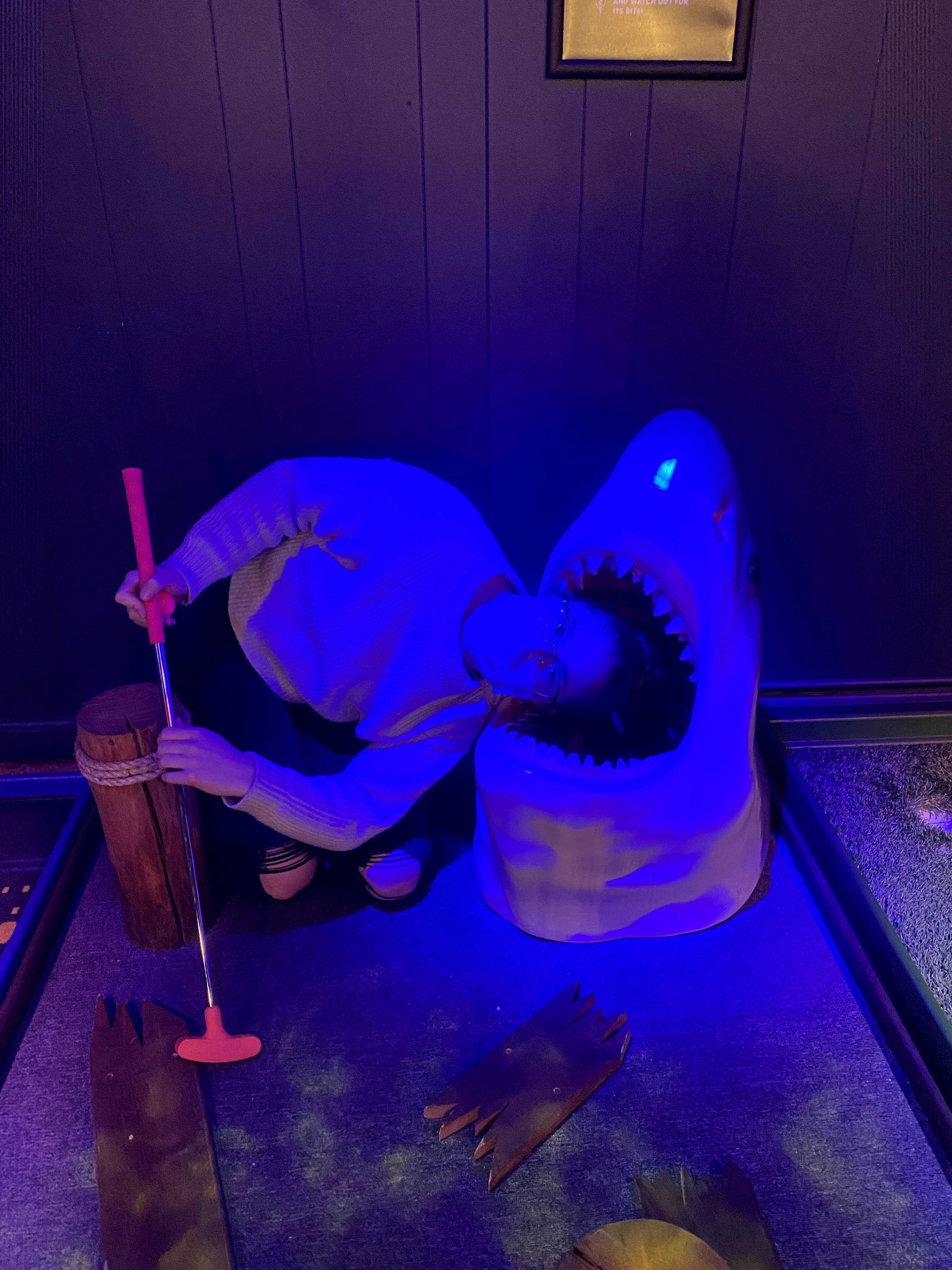 Par-Tee Putt - Image 2