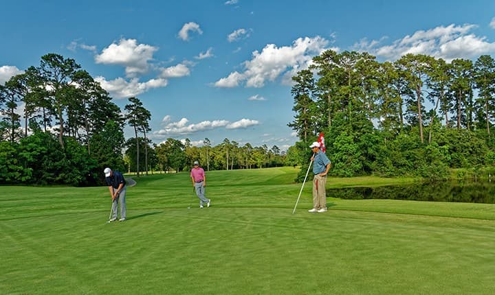 Lozano Golf Center - Image 3