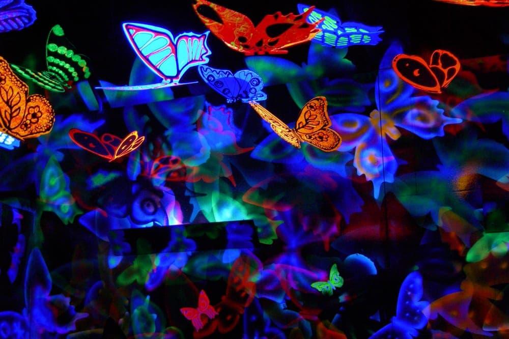 Nepean Putting Edge - Image 10