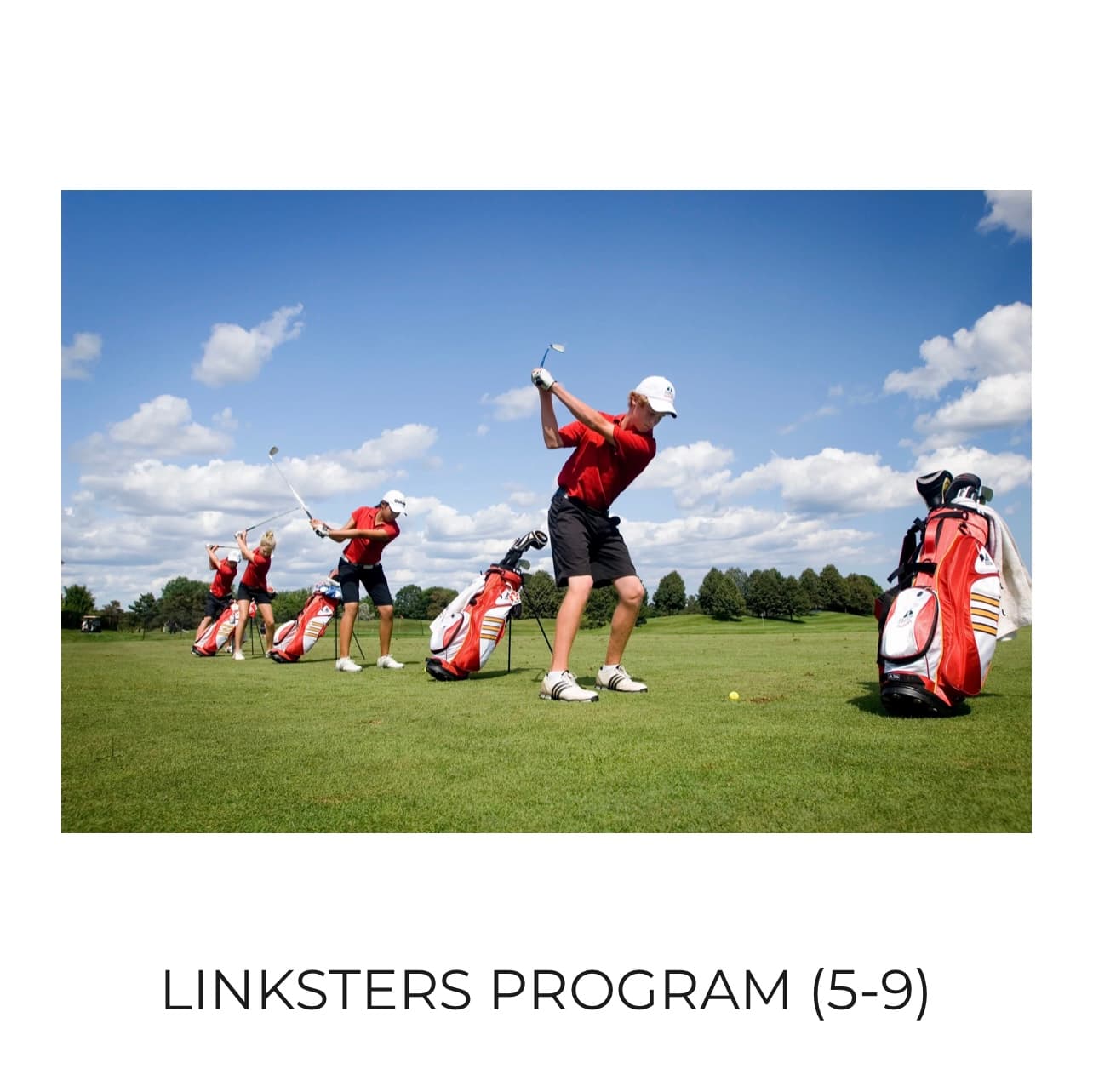 Sean Casey Golf - Image 3