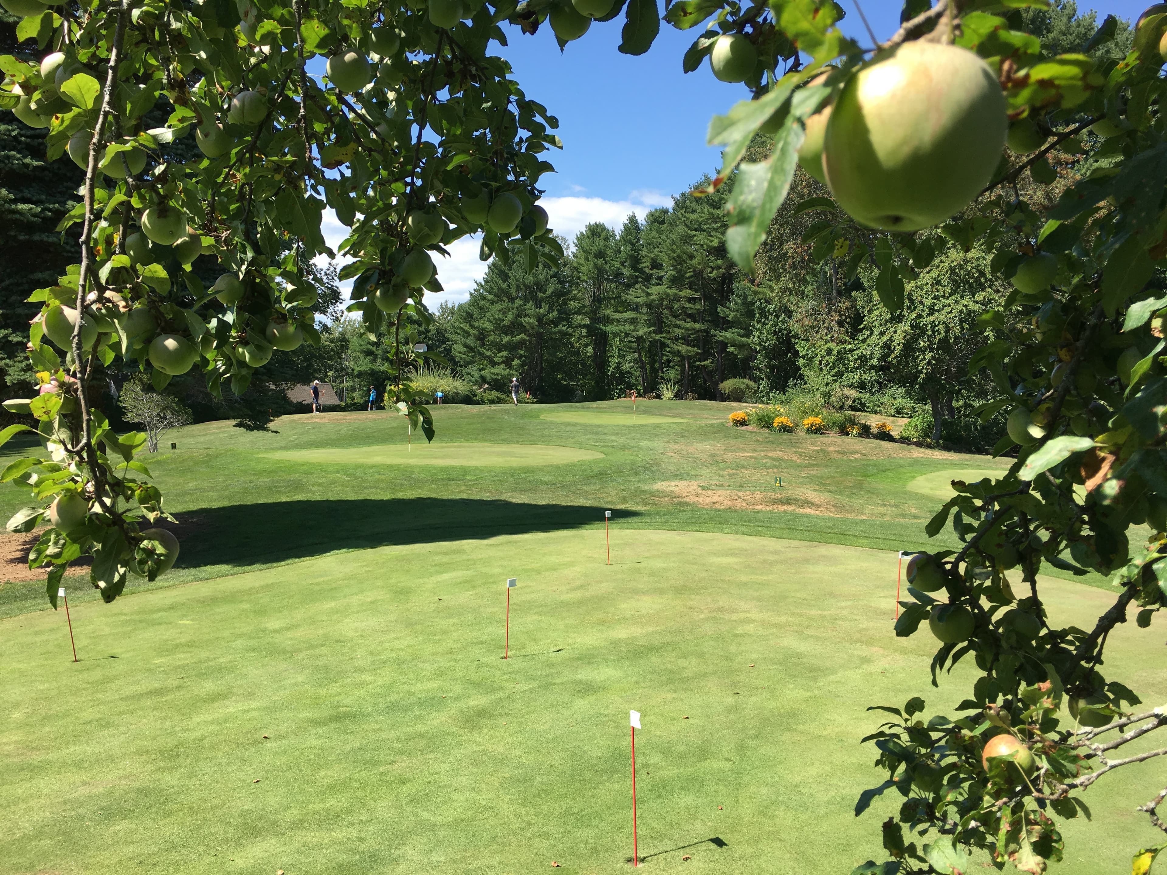 Hillcrest Golf - Image 1