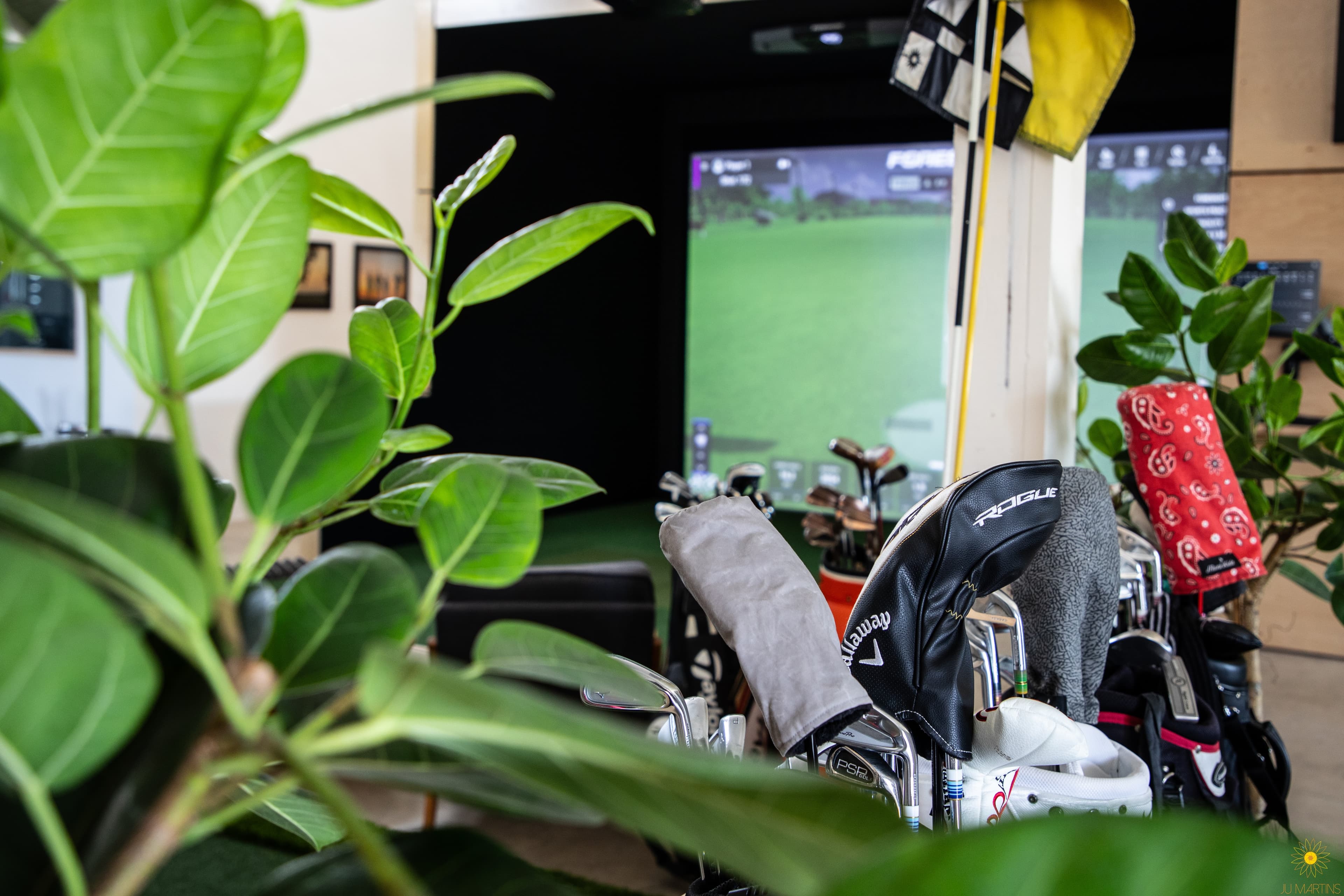 SuperSwings ProShop - Image 3