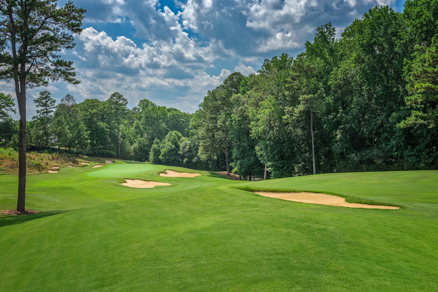 The Standard Club - Image 5