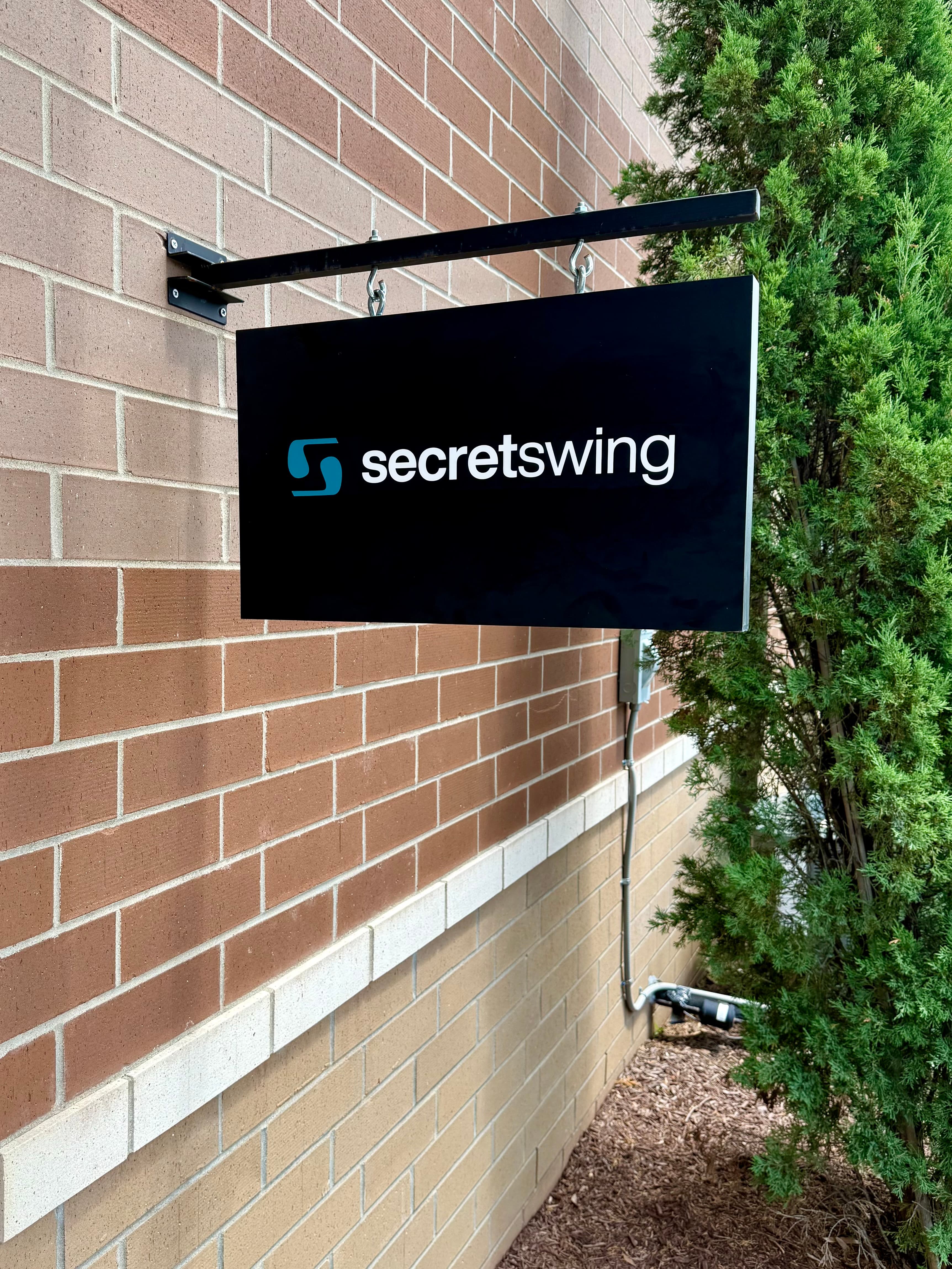 The Secret Swing - Image 1