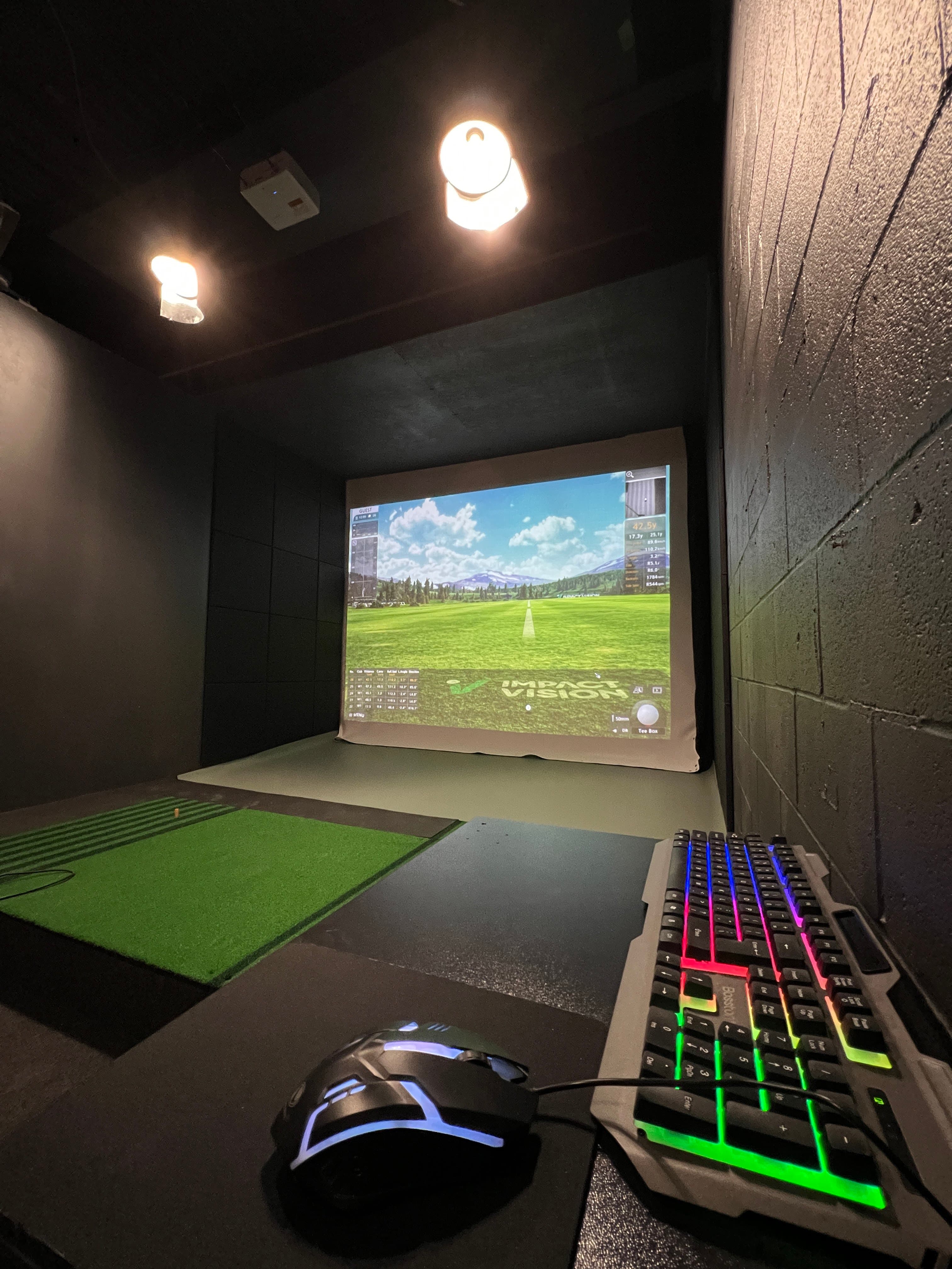 Daily Indoor Golf - Image 6