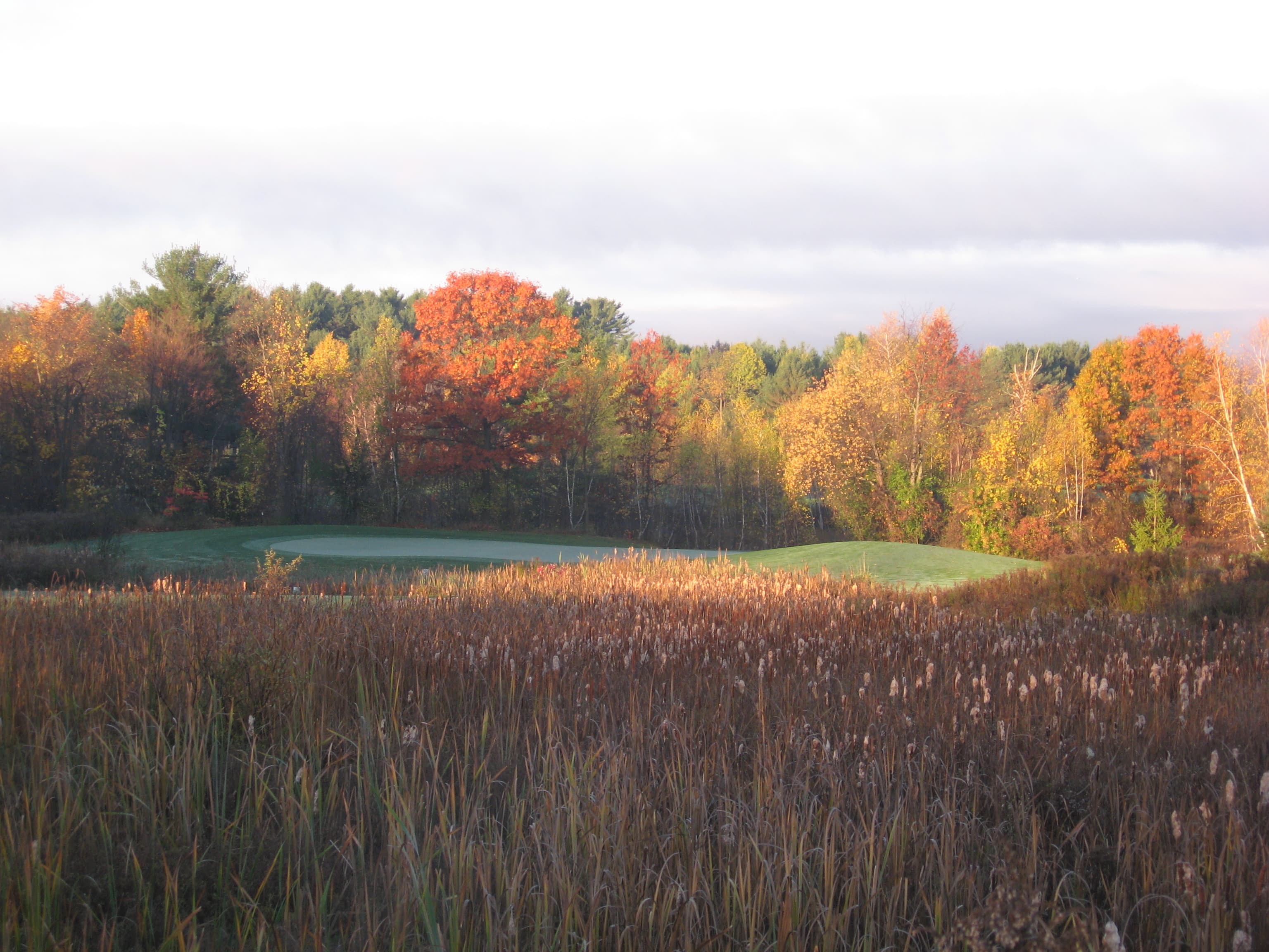The Links at Lang Farm - Image 5