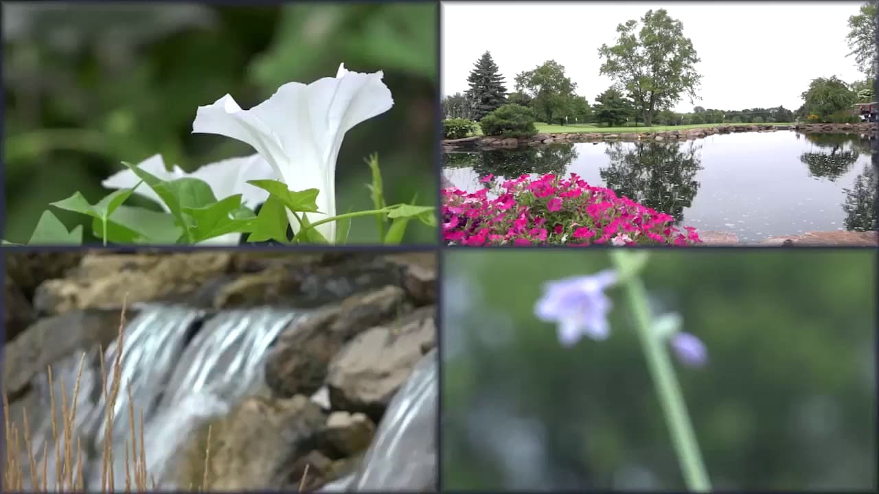 Stonebrooke Golf Club - Image 4