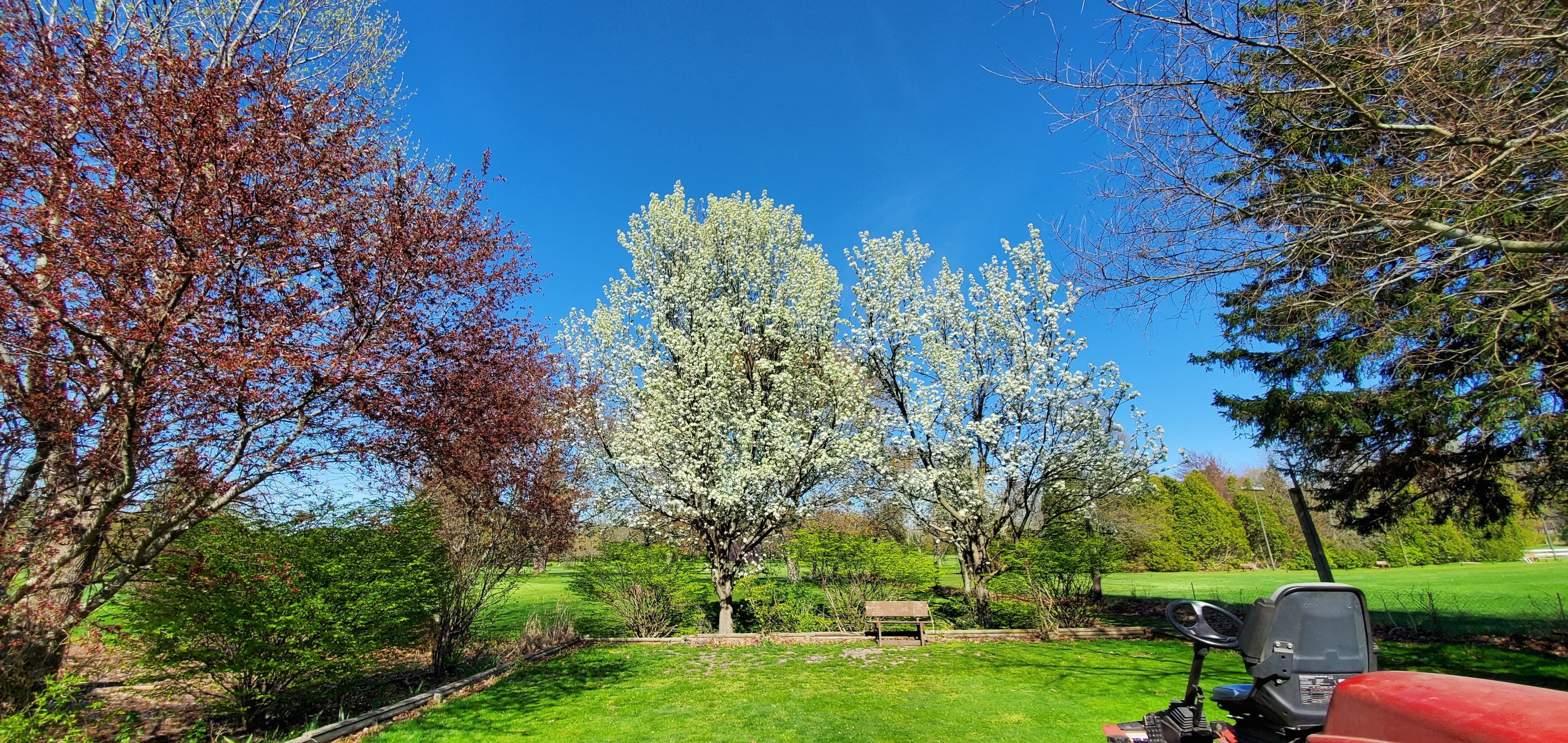 Blossom Trails Golf Club, Inc. - Image 6