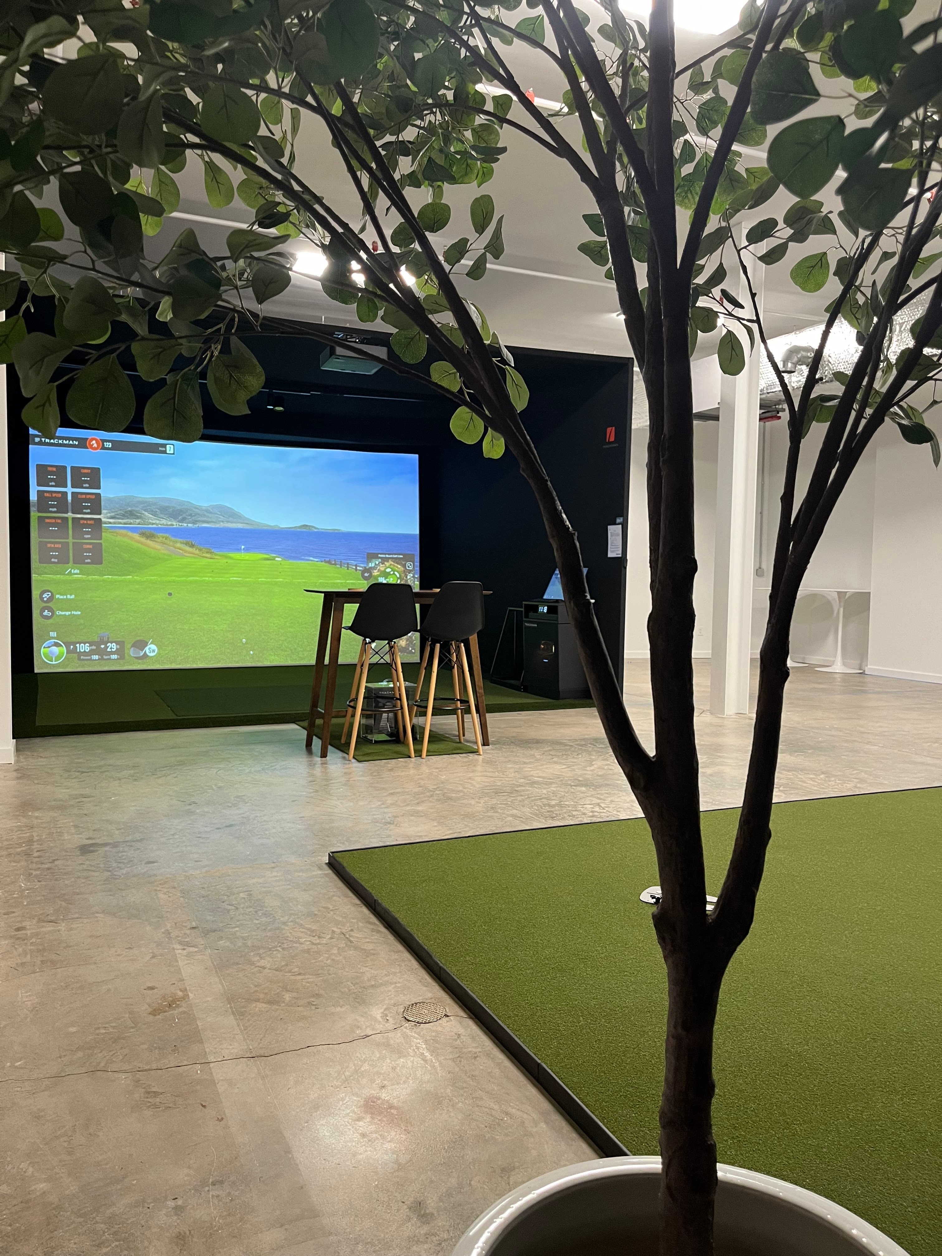 Millburn Indoor Golf Club - Image 4