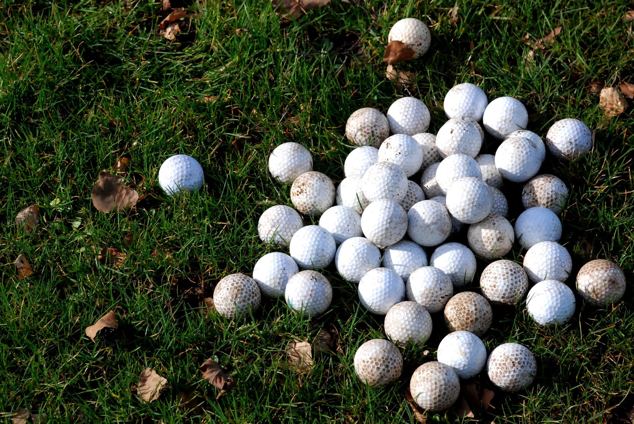 Big Bend Golf Center - Image 1