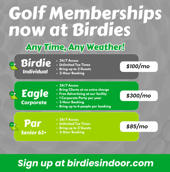 Birdies. Indoor Golf. Games. Events. - Image 4
