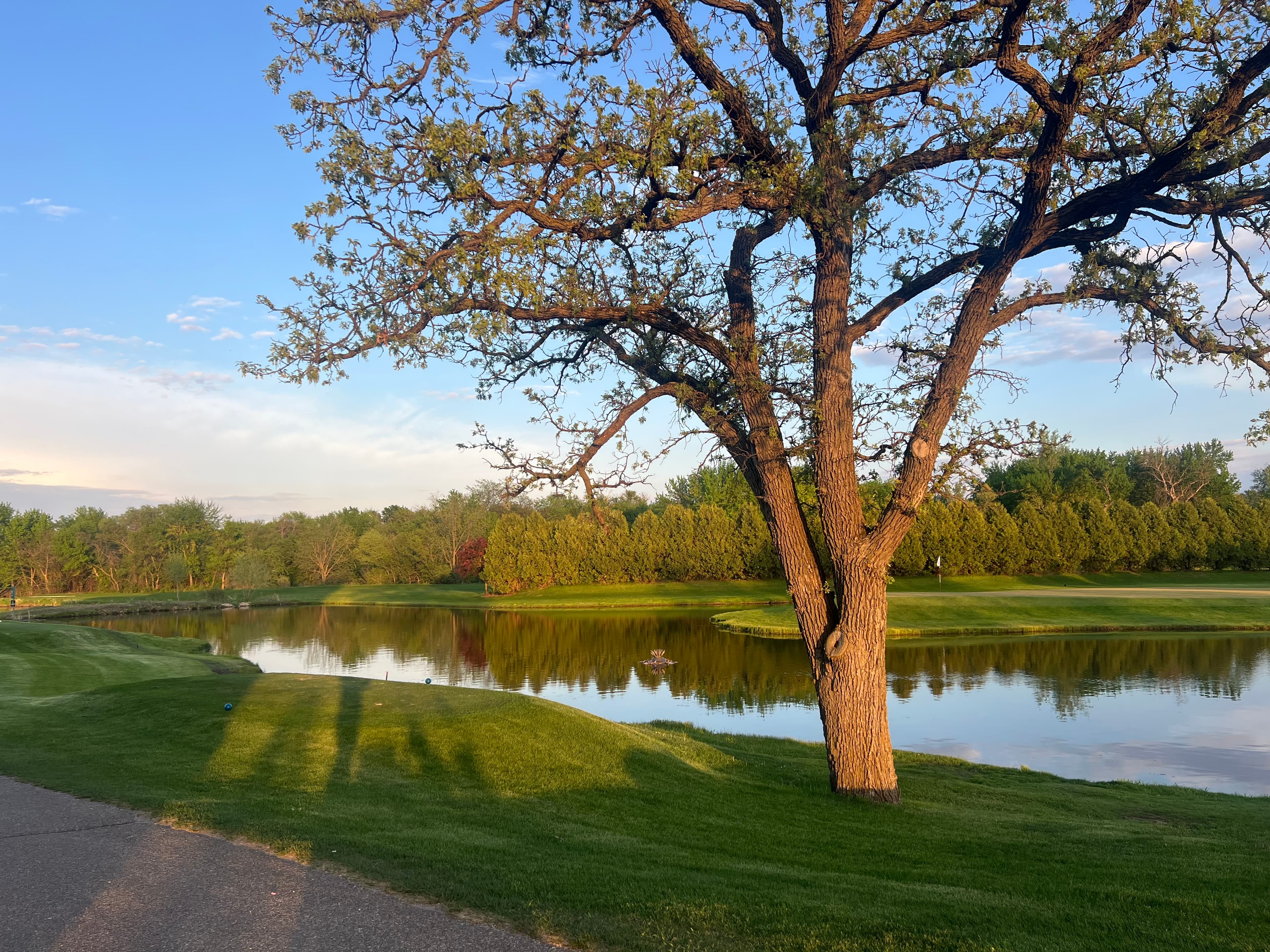 Stewartville Golf Club - Image 1