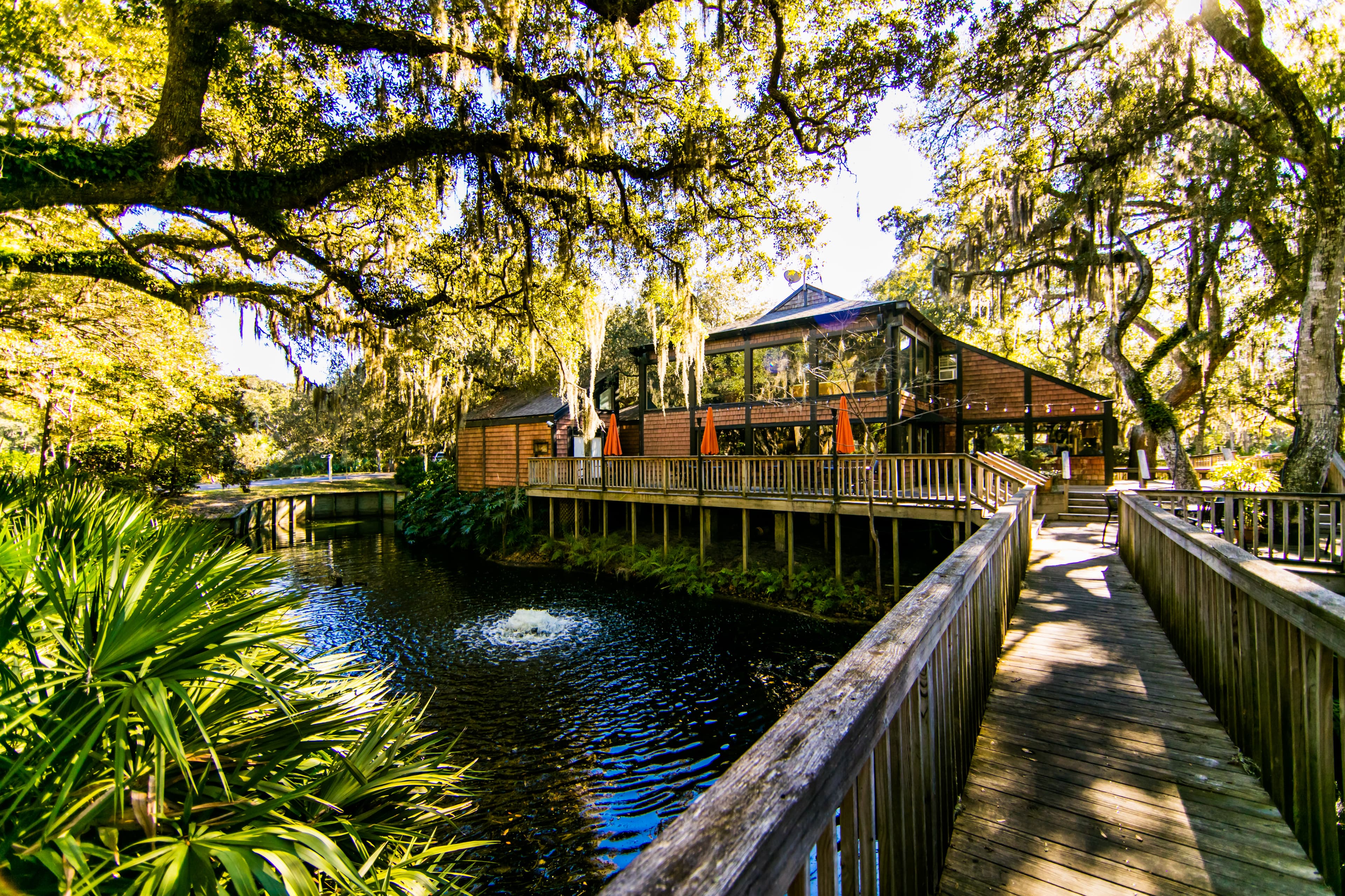 Falcon's Nest - Image 7