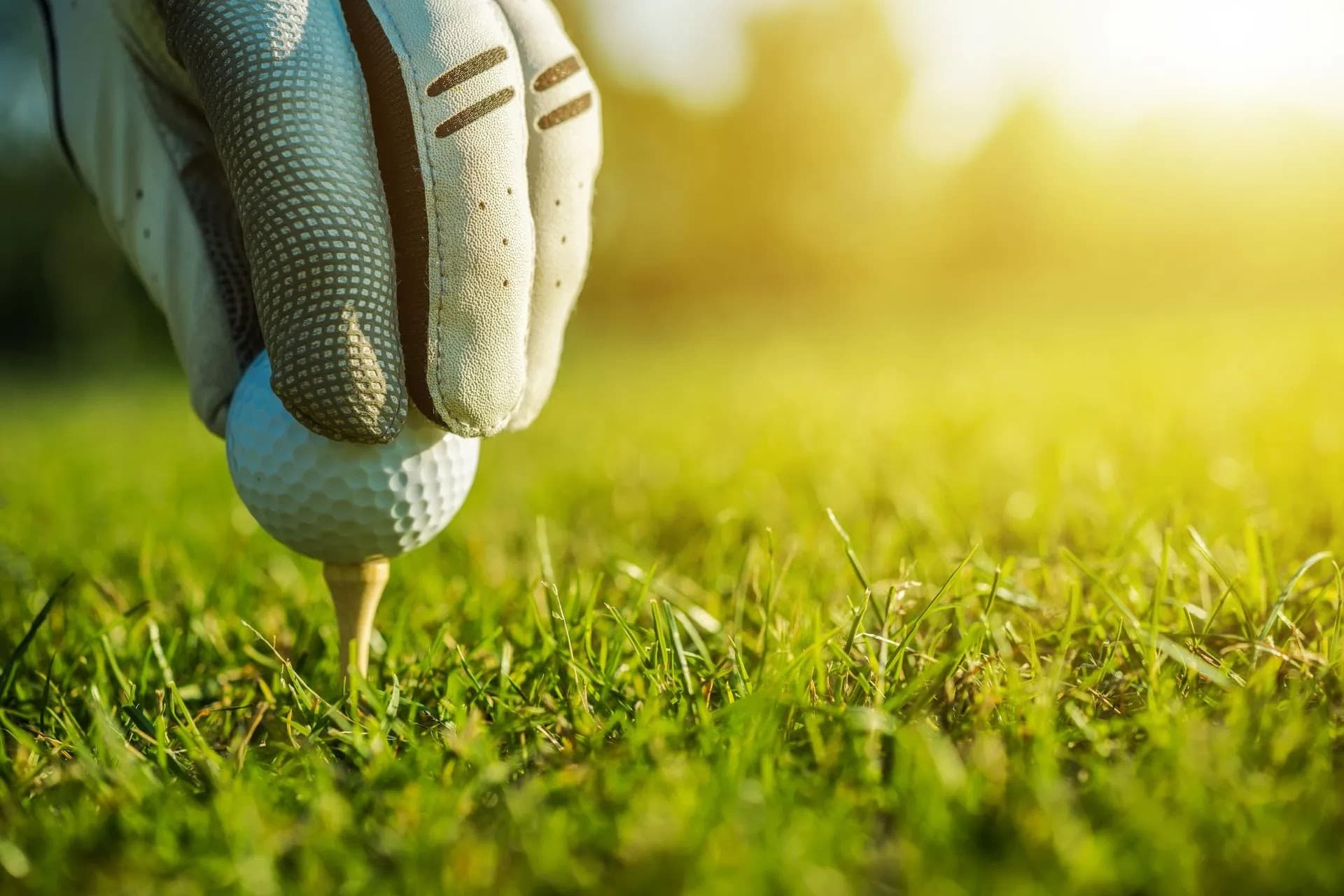 On The Fringe - Image 10