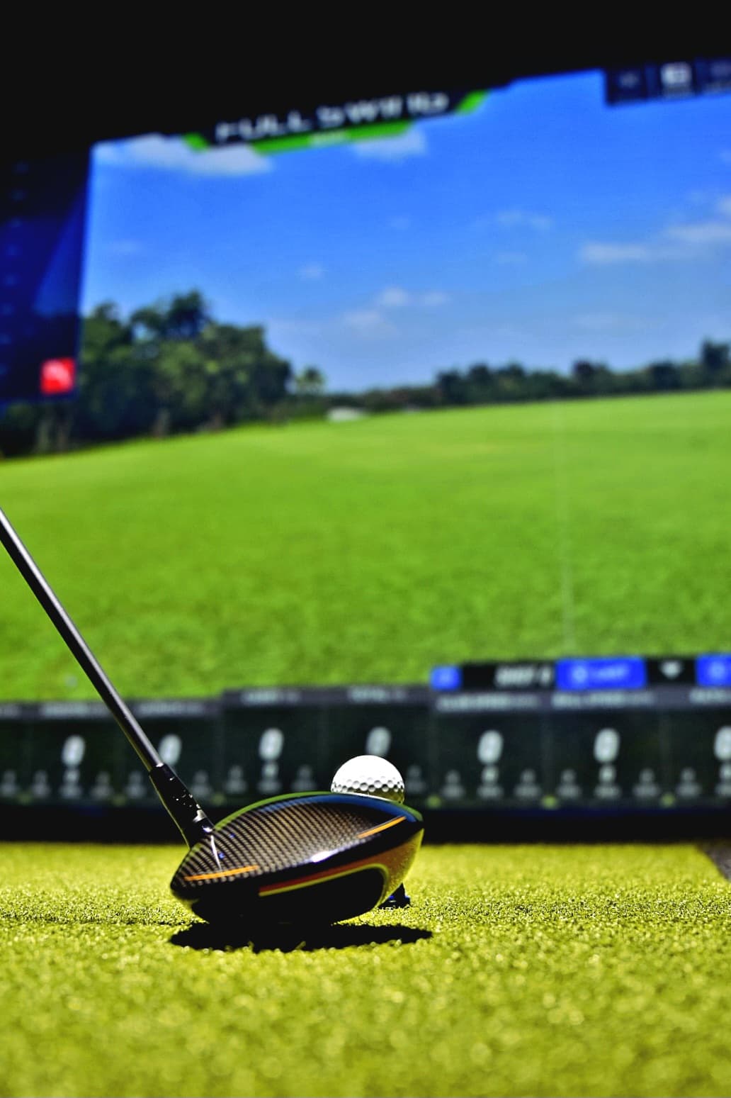 Swingback VGolf - Image 1