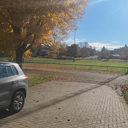 Zee...Golf - Image 4