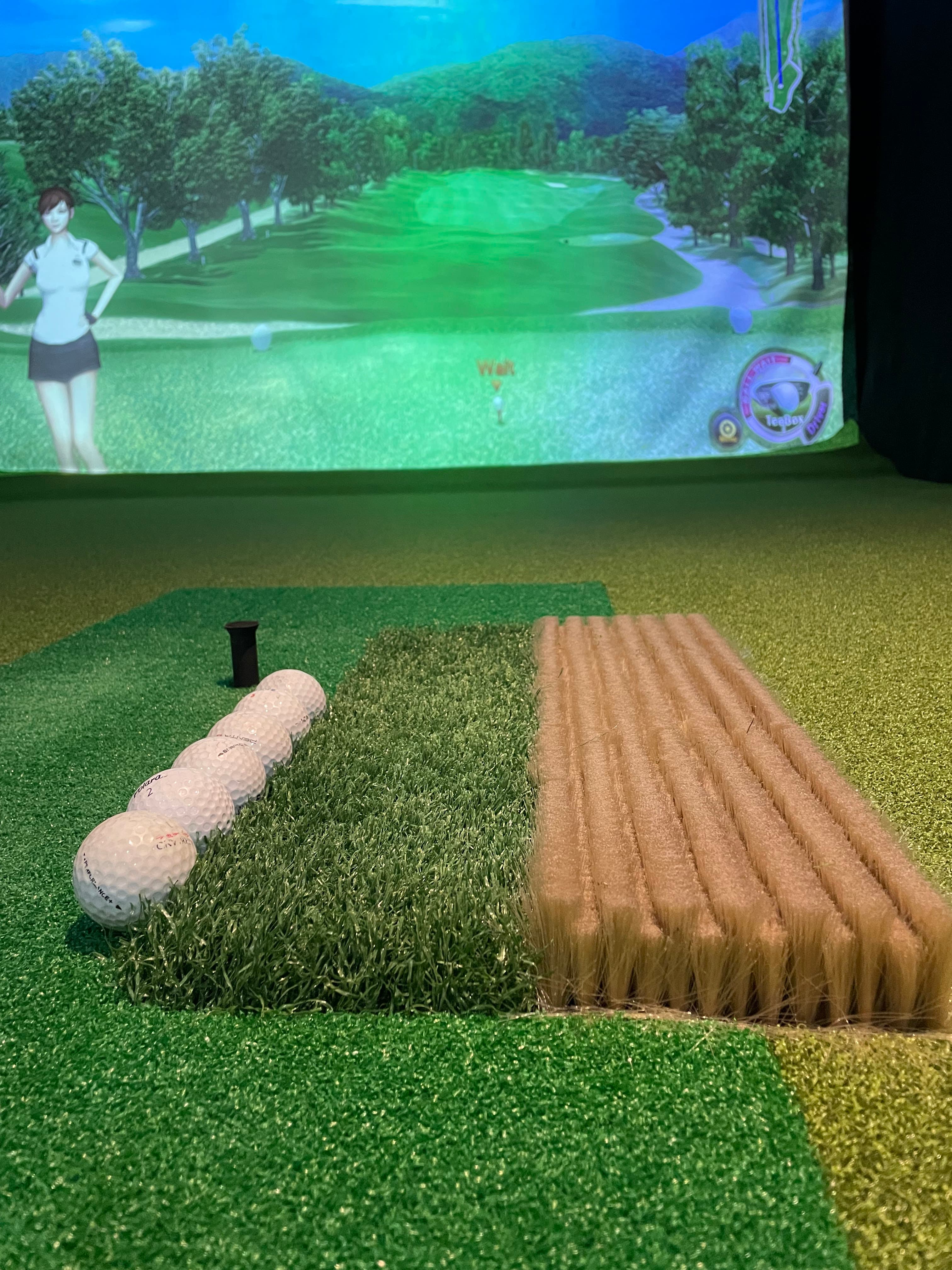 TARGET Indoor Golf - Image 10