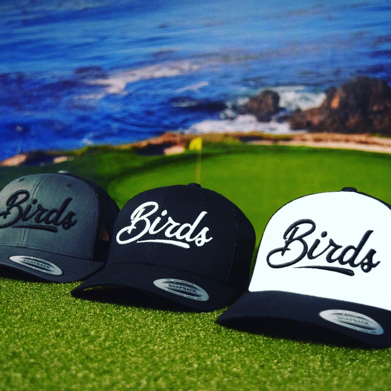 Birds Golf Sports Lounge - Image 3