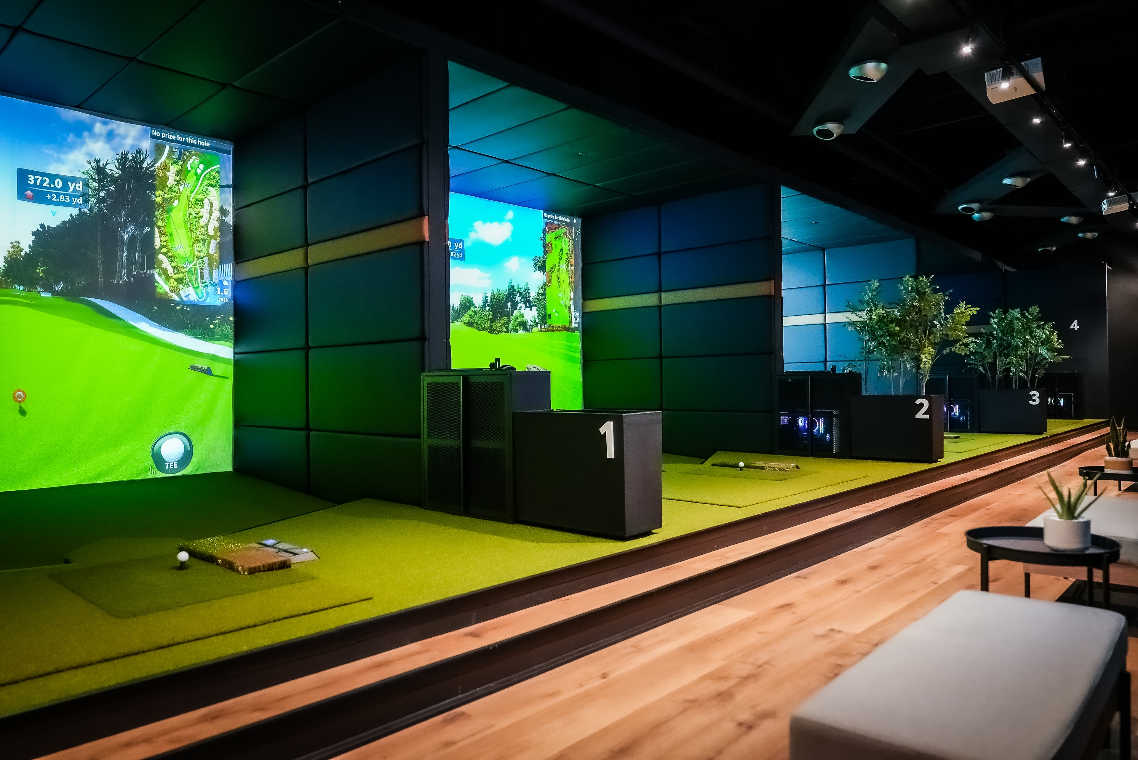 Nexus Golf - Image 4