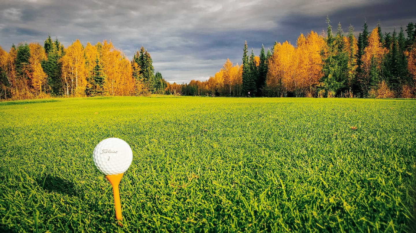 Chena Bend Golf Course - Image 3