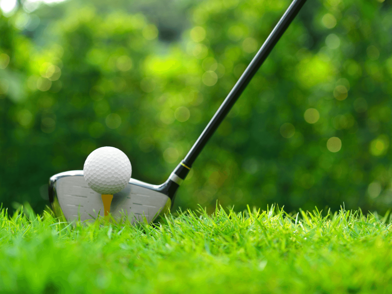 Golf Oasis CT - Image 10