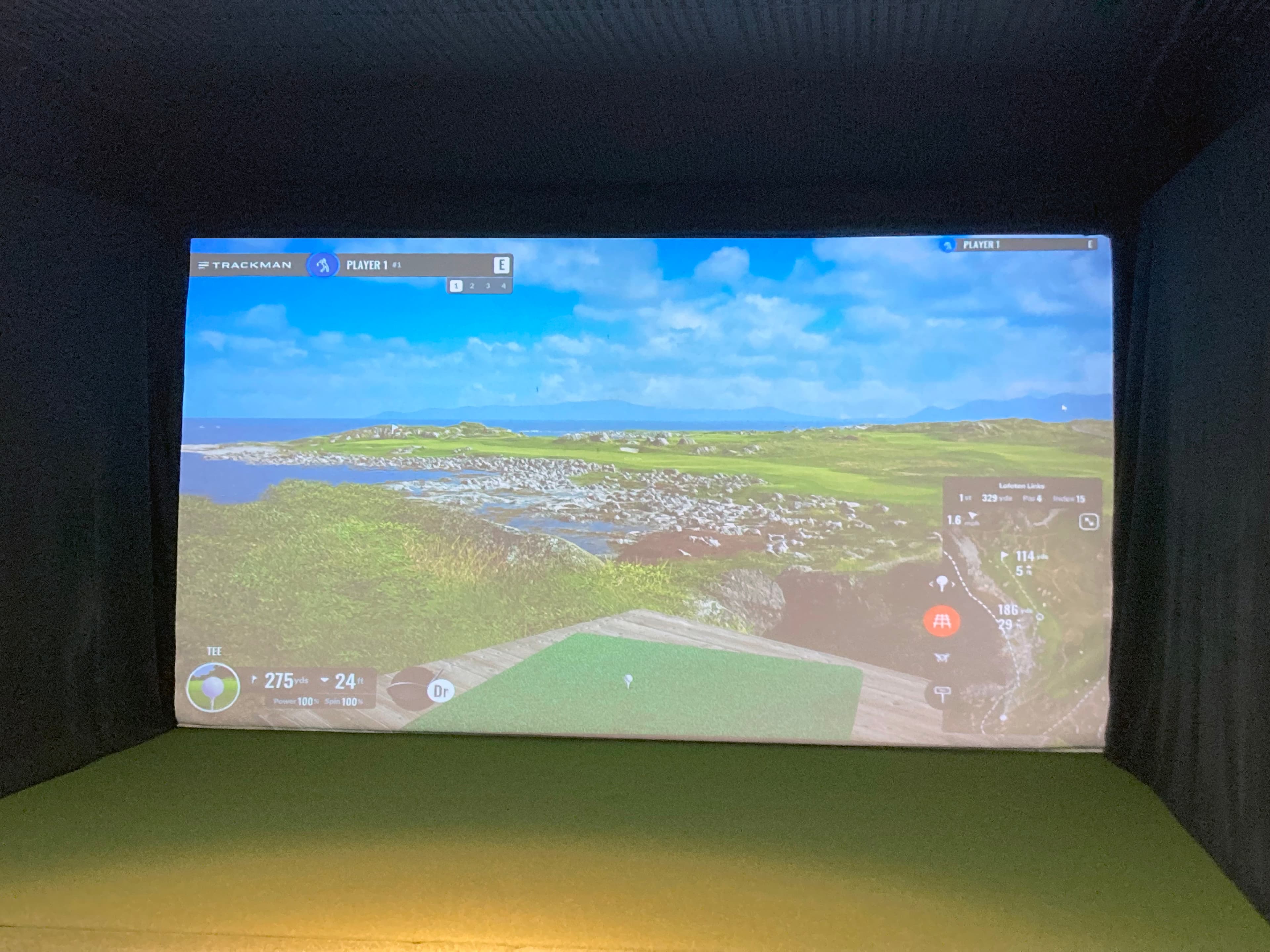 Big Indoor Golf - Image 4