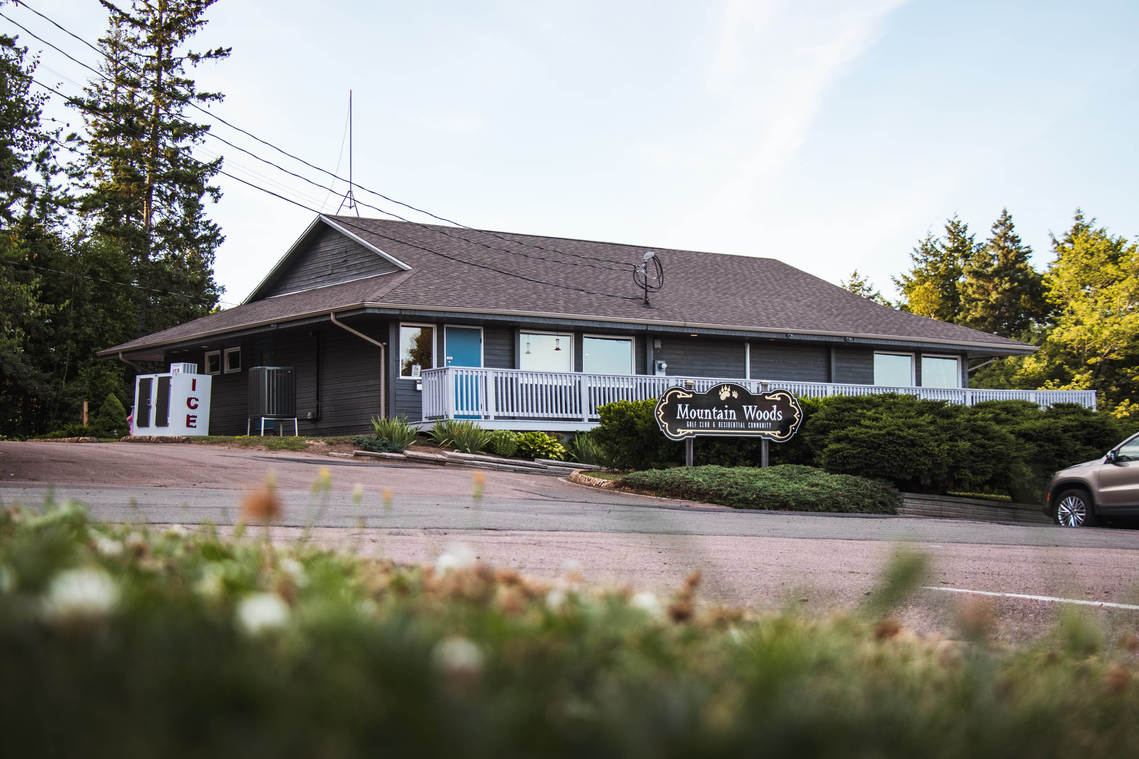 Mountain Woods - Image 7