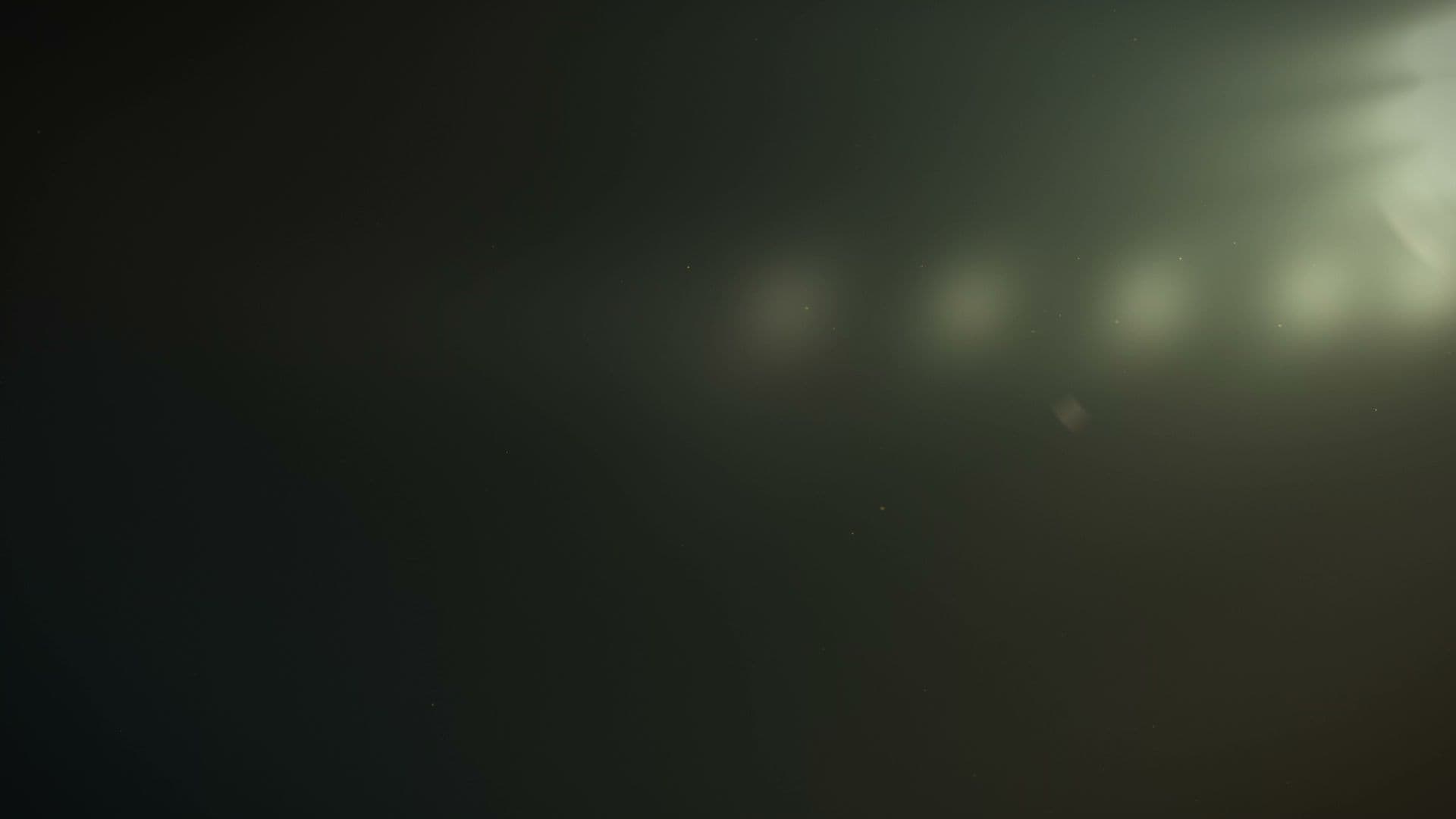 The Birdie Bay - Image 10