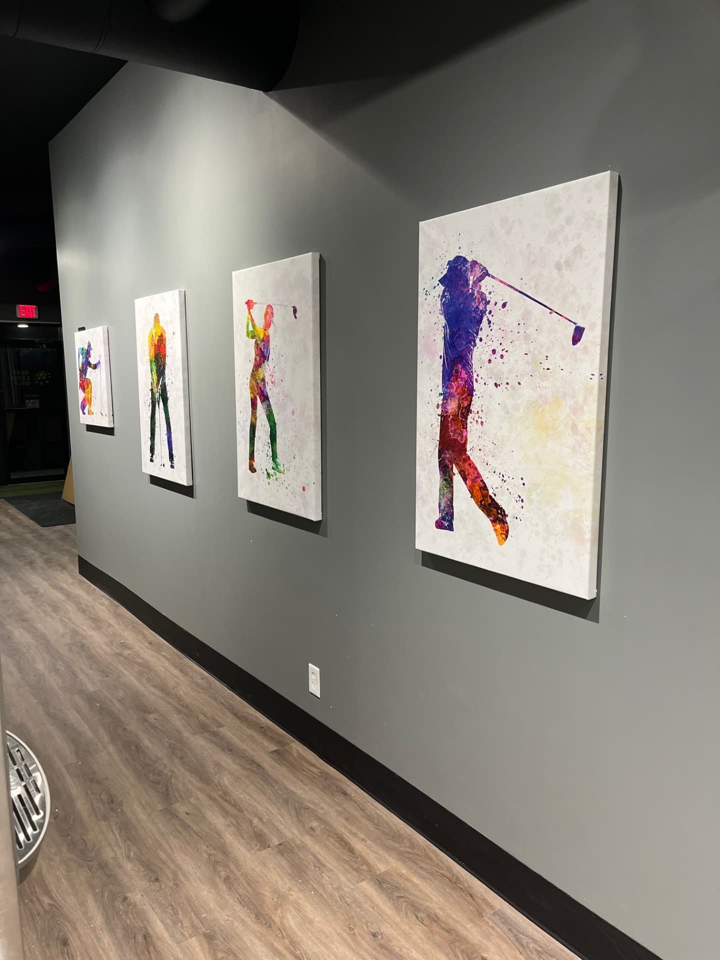 Next Level Golf - Image 3