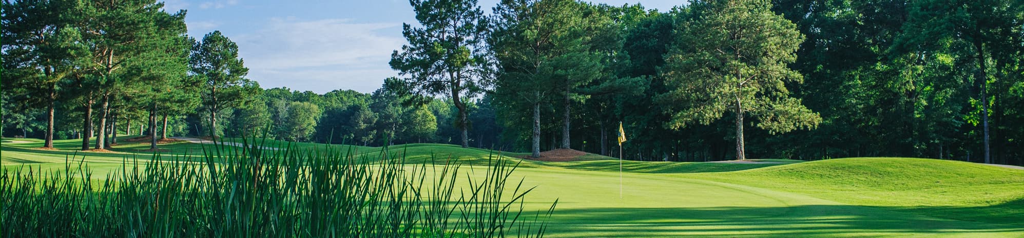 RiverPines Golf - Image 4
