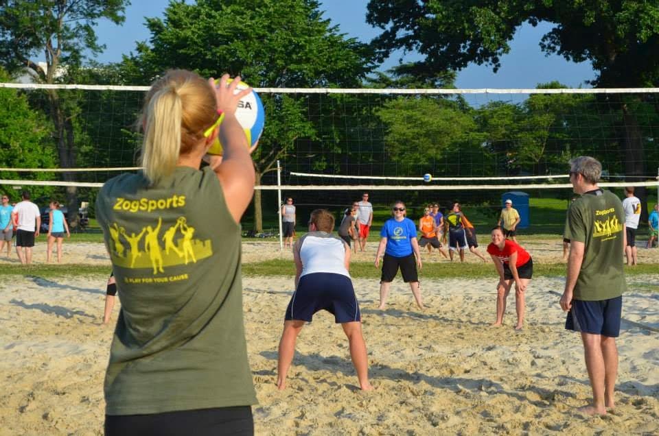 ZogSports DC - Image 2