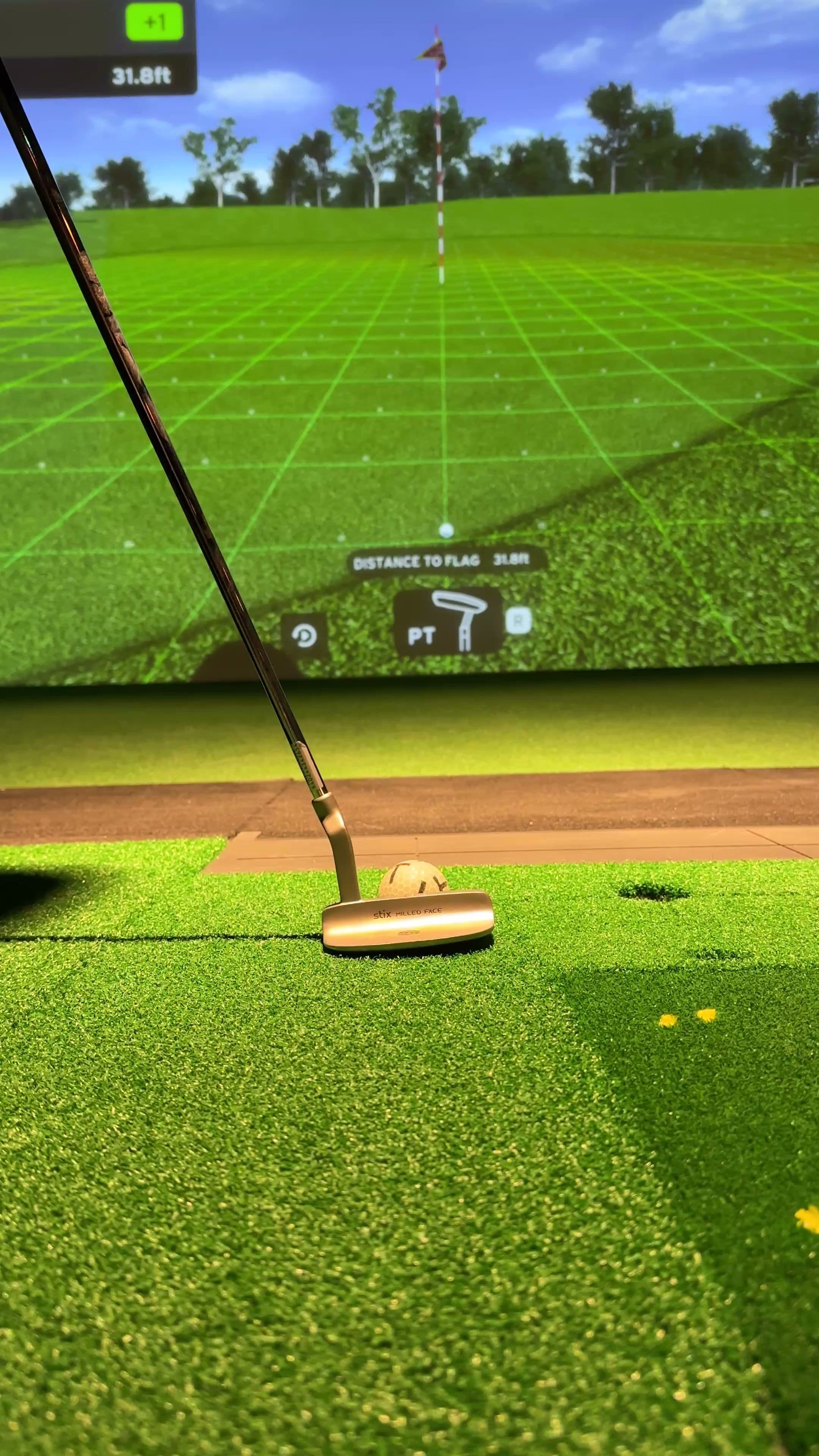 X-Golf South Loop - Image 2