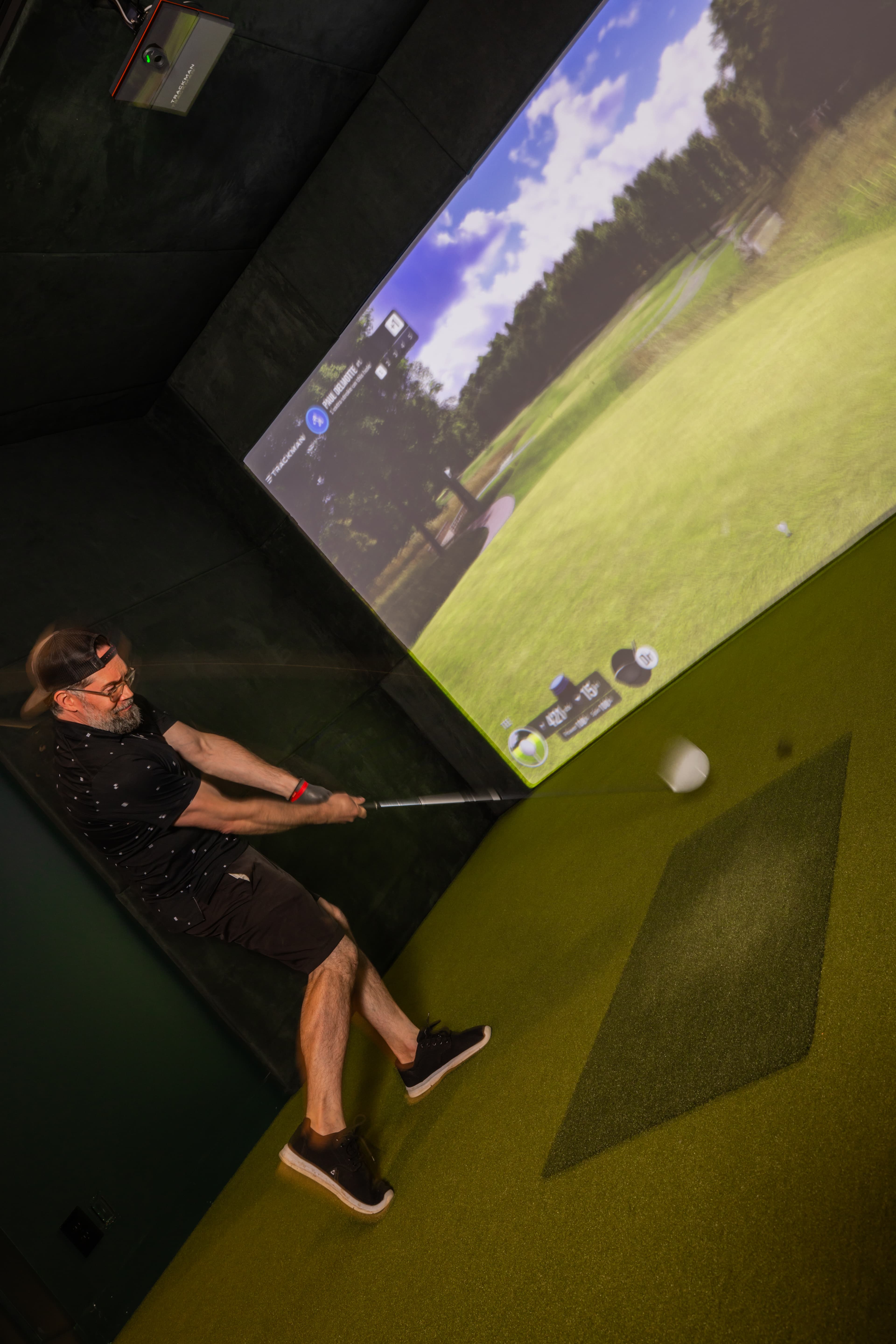 Modern Eagle - Image 6