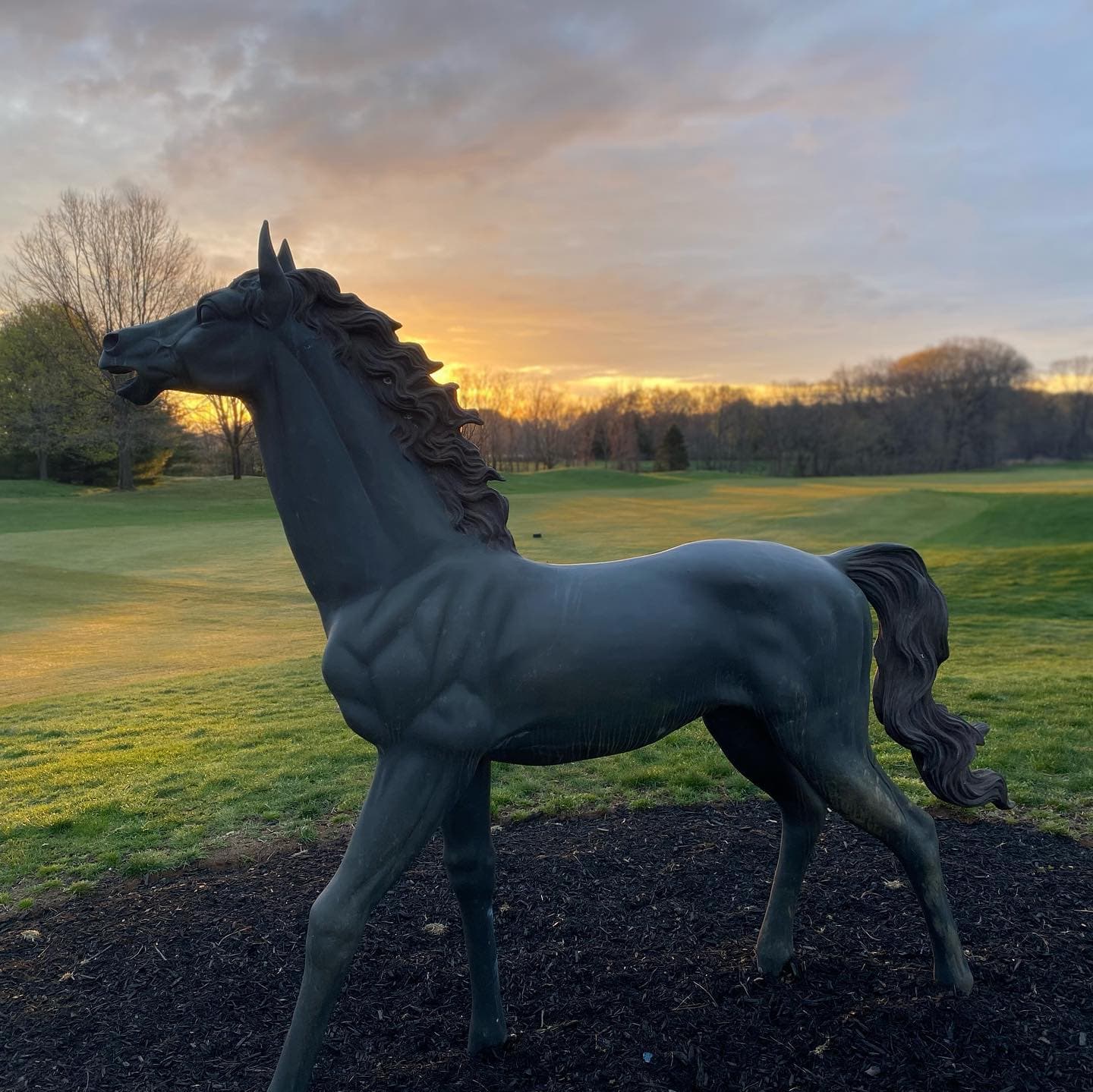 THE COLTS NECK GOLF CLUB - Image 1