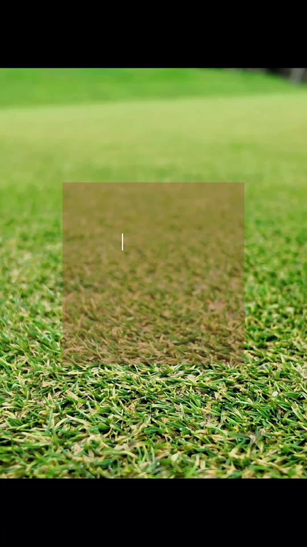 Point Roberts Golf & Country Club - Image 2