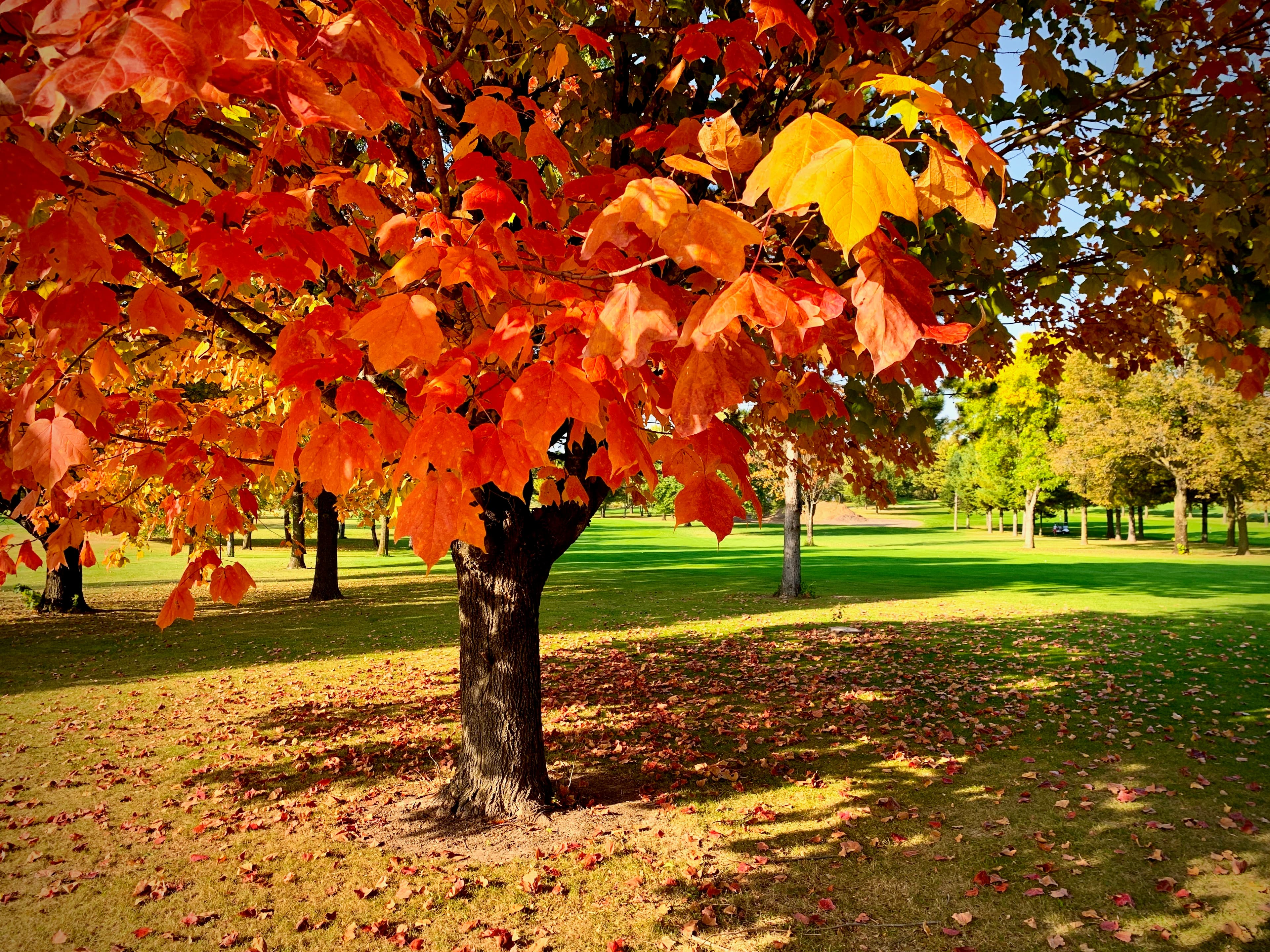 Clifton Hollow Golf Club - Image 6