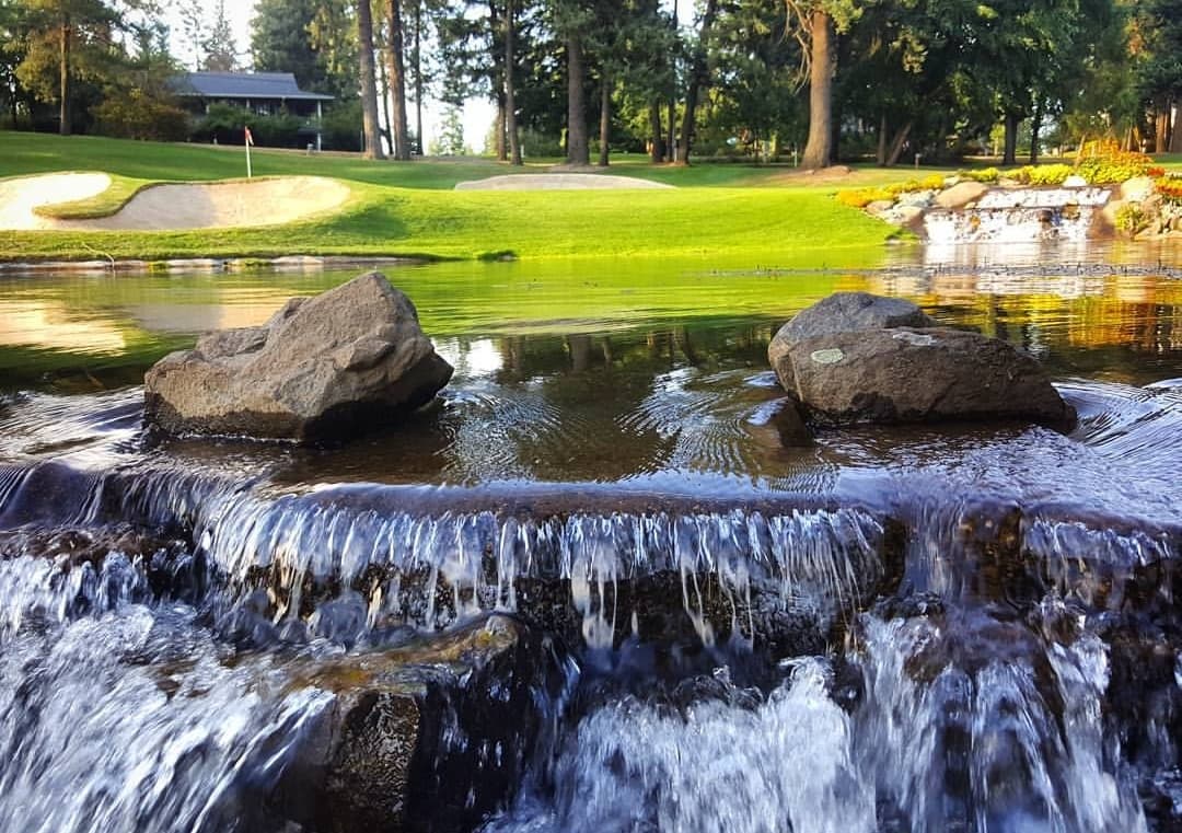 Avondale Golf Club - Image 6