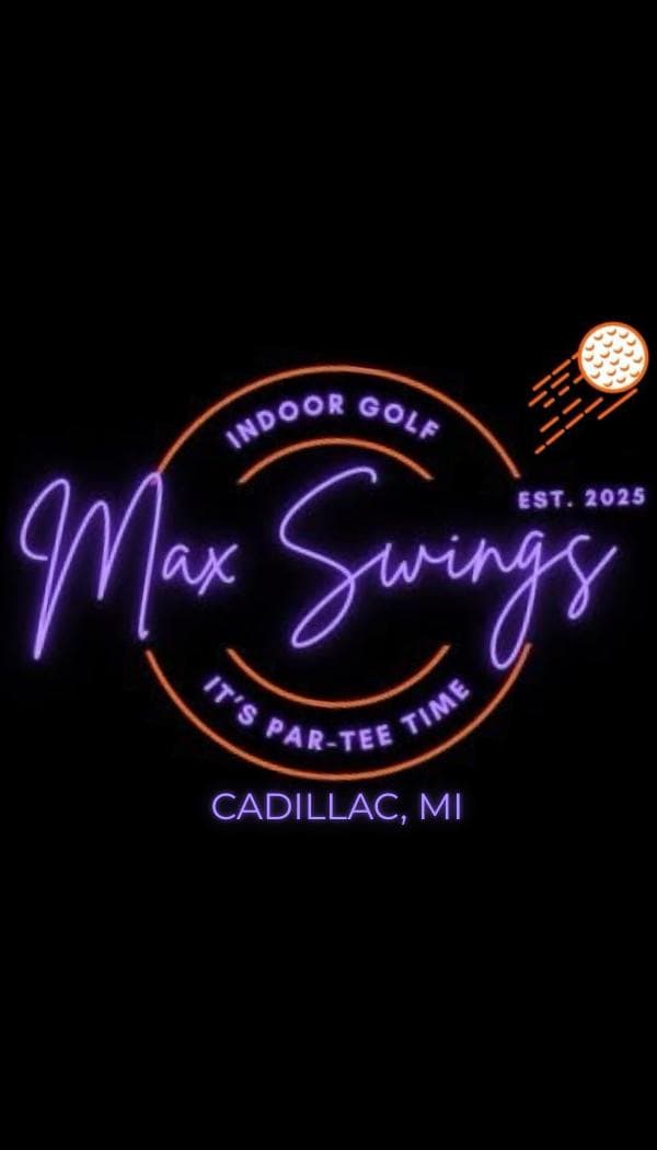 Max Swings - Image 1