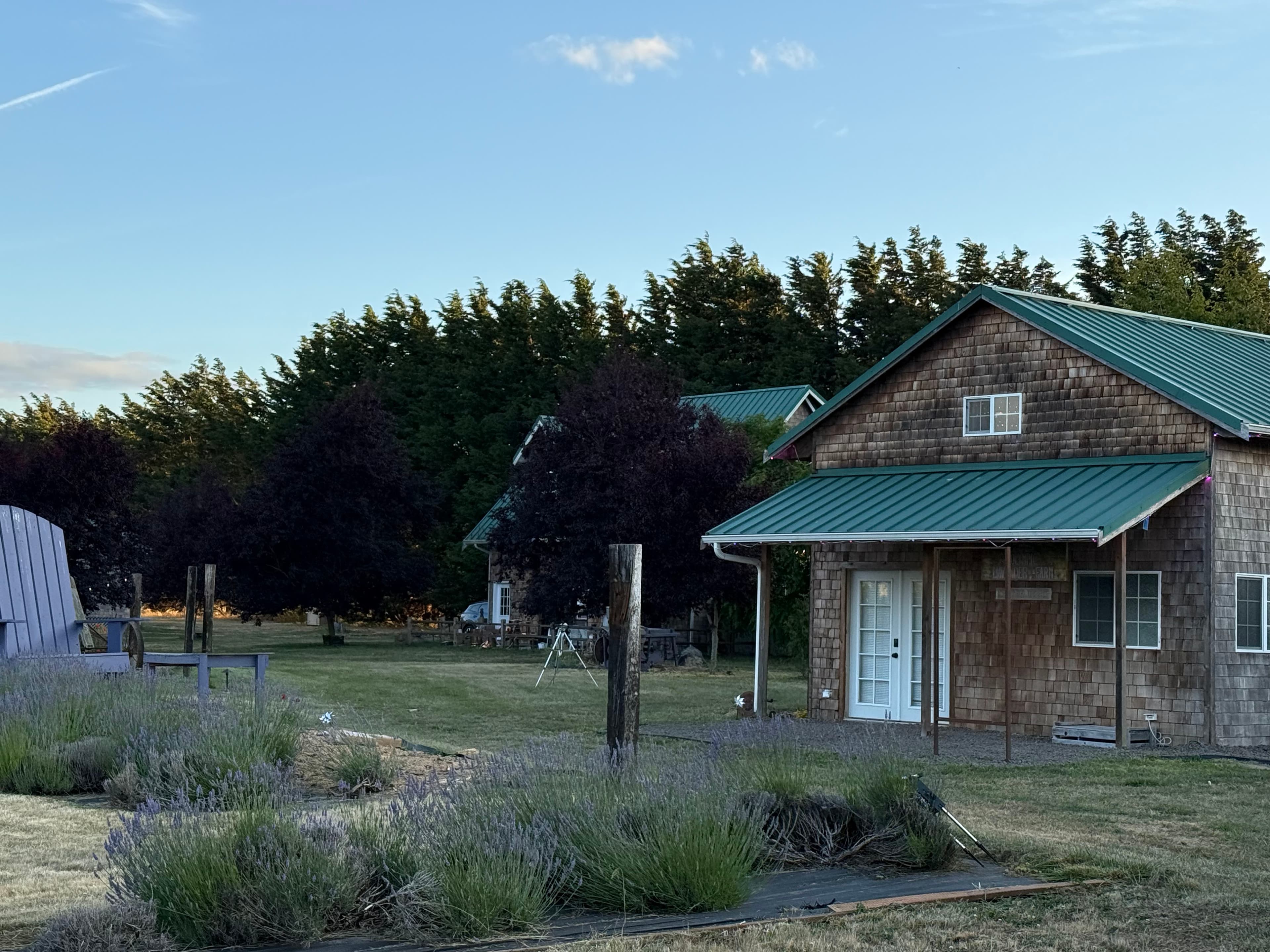 Lit Lavender - Image 7