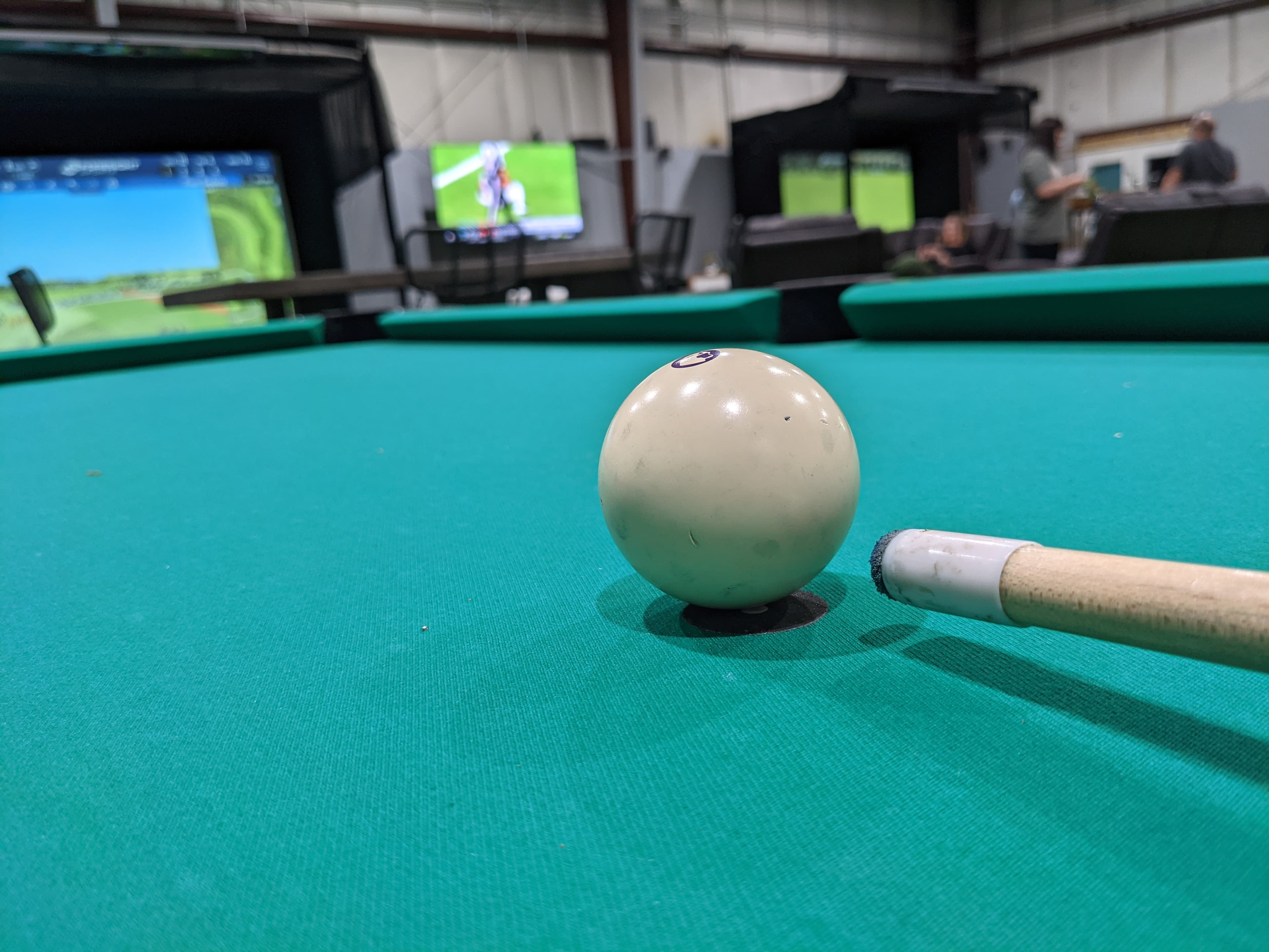 Simulation Sports - Image 6