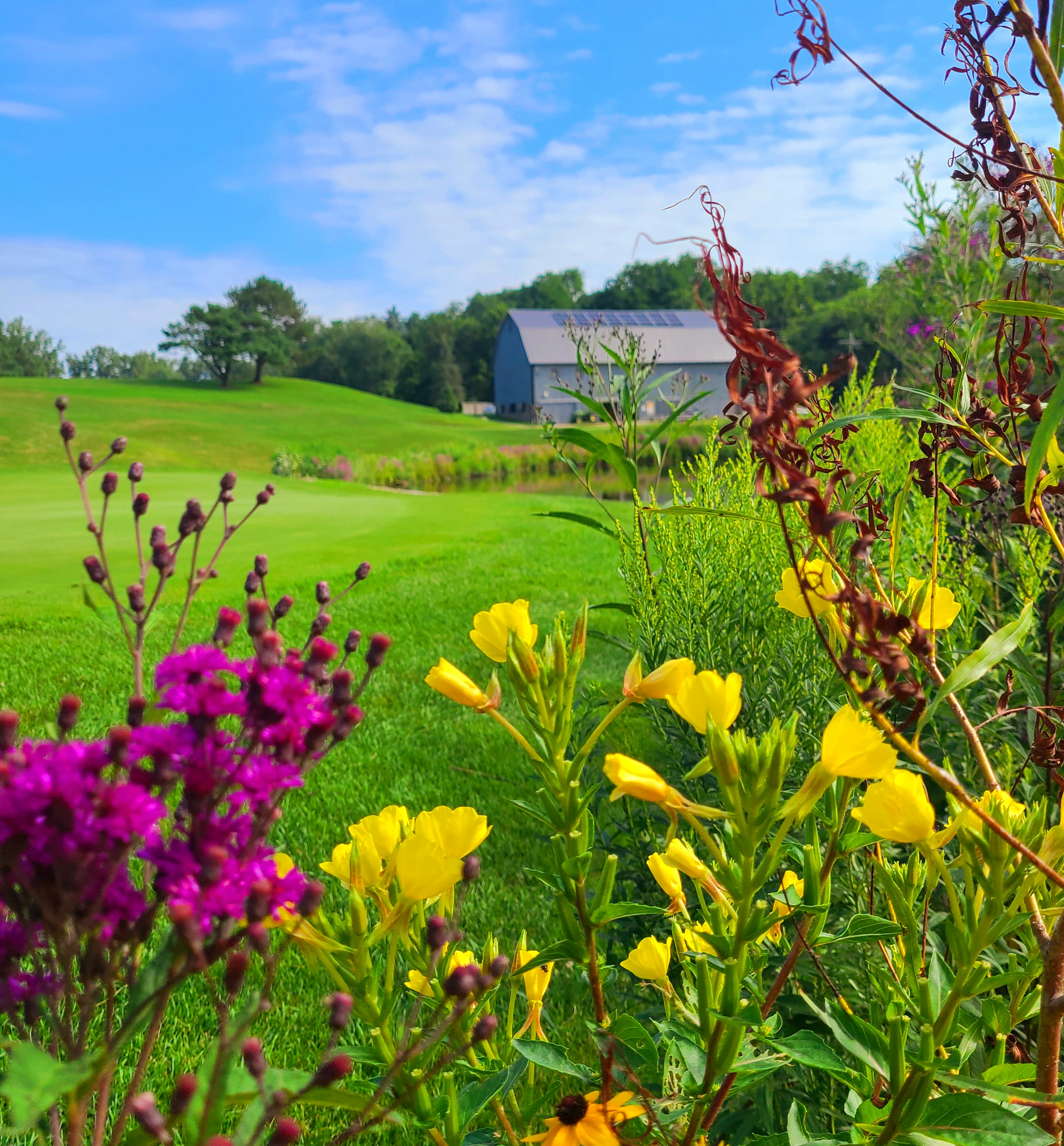 Leslie Park Golf Course - Image 2