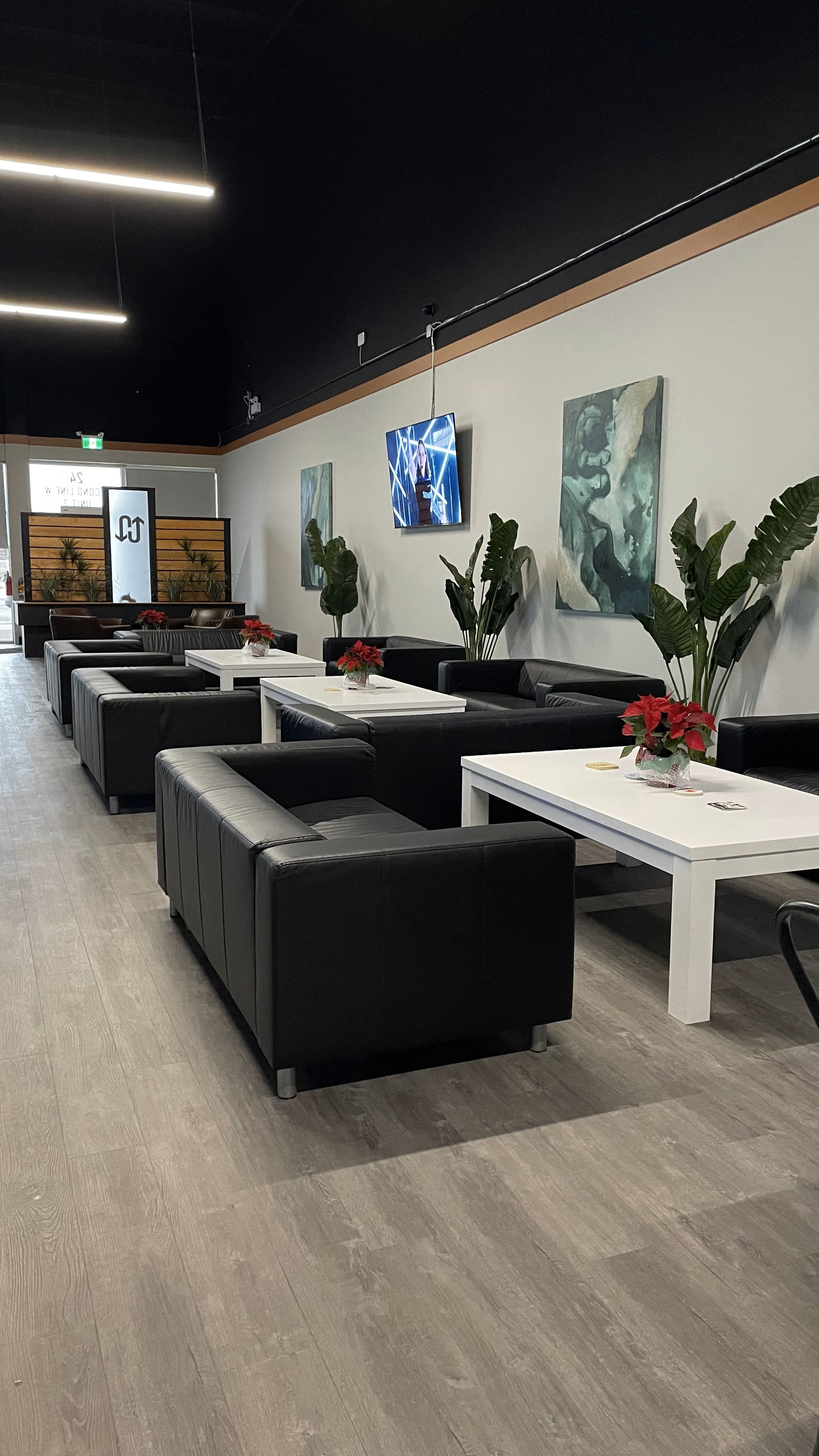 Up & Down Lounge - Image 2