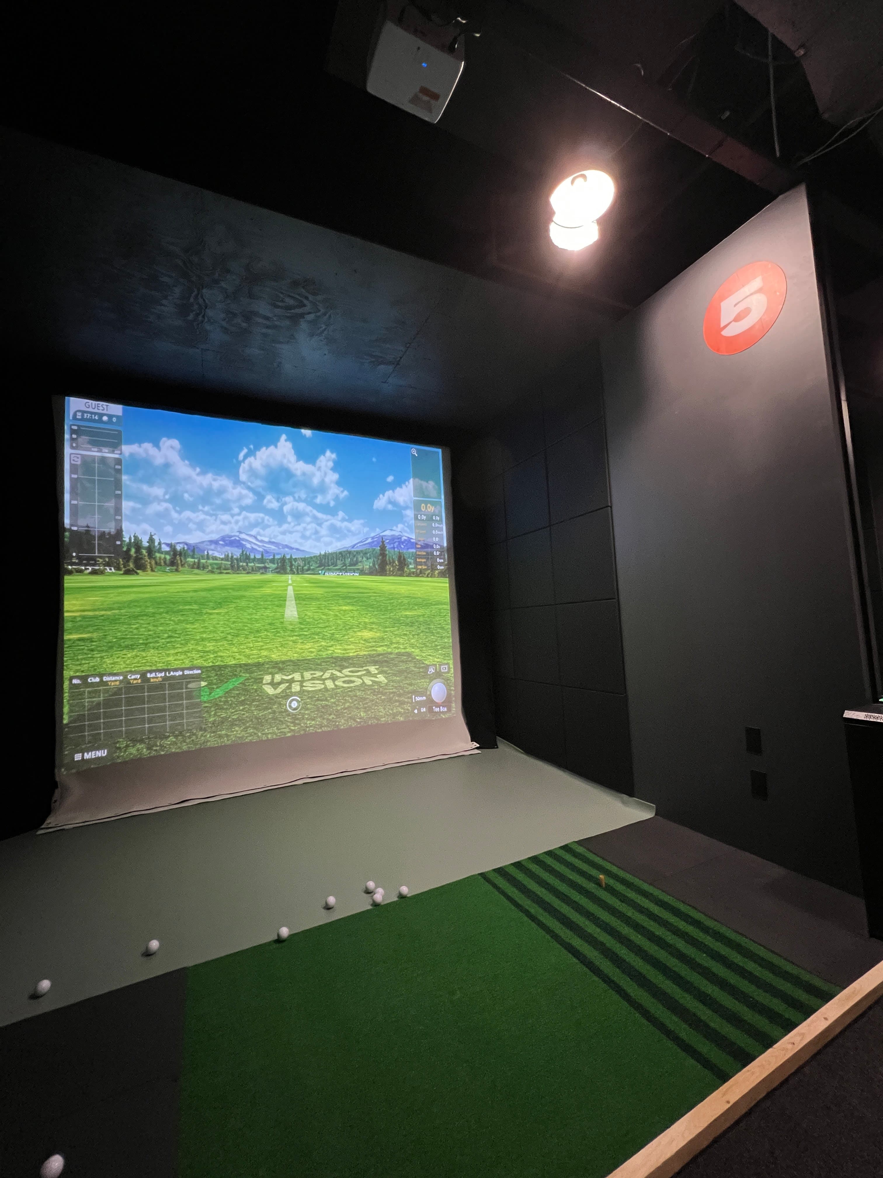 Daily Indoor Golf - Image 10