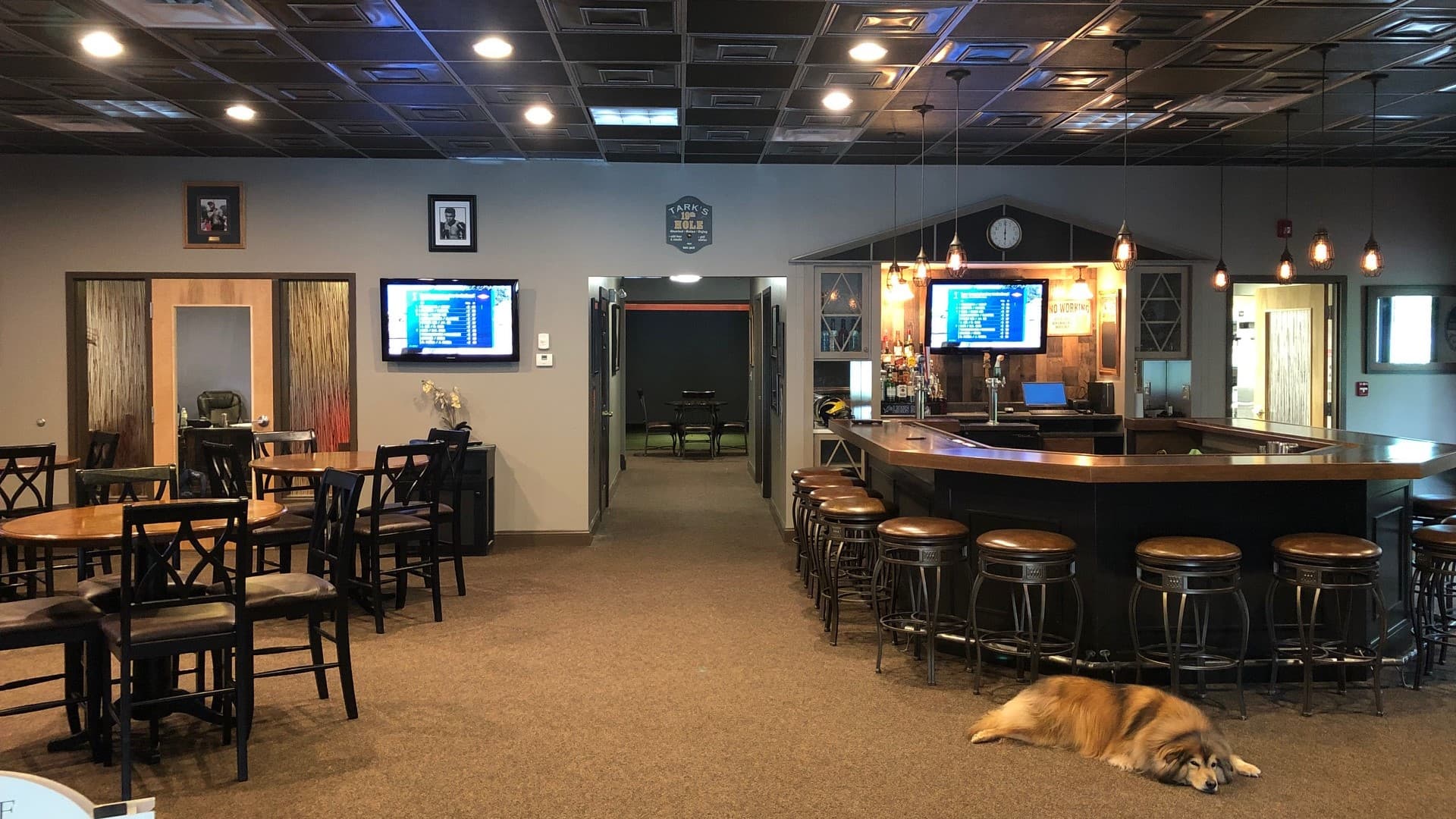 Tarks Indoor Golf - Image 9